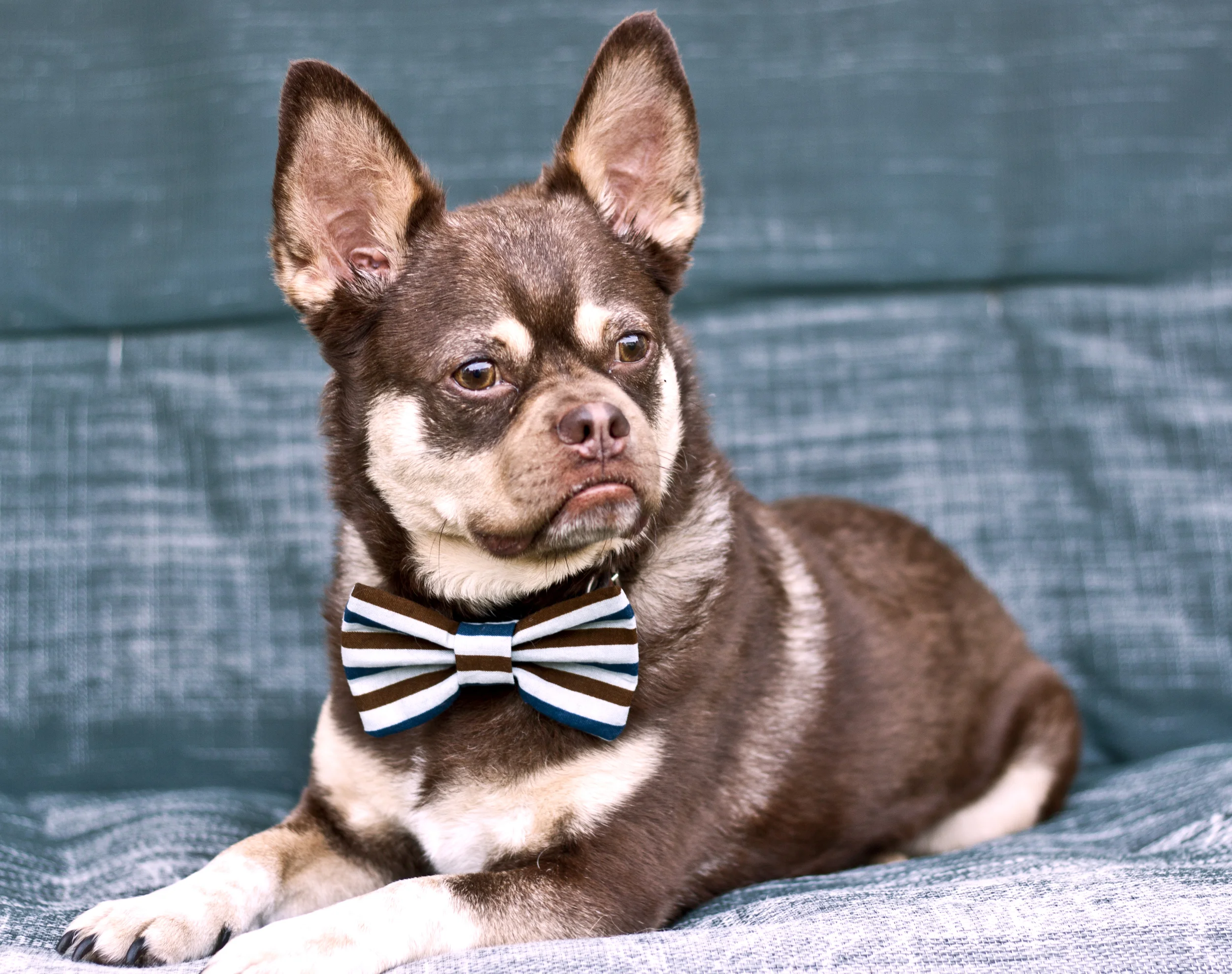 We surprised Dwight with a bowtie from a shop in Columbus.