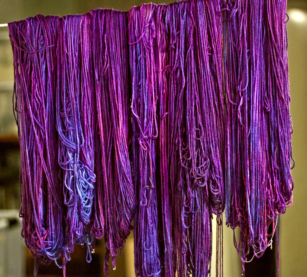 Skeins of Norwegian Elkhound In Running Dog Nebula drying after being dyed.