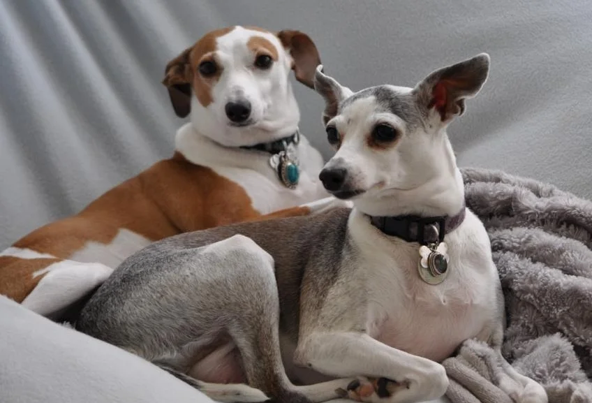 Bailey Lady website.jpg