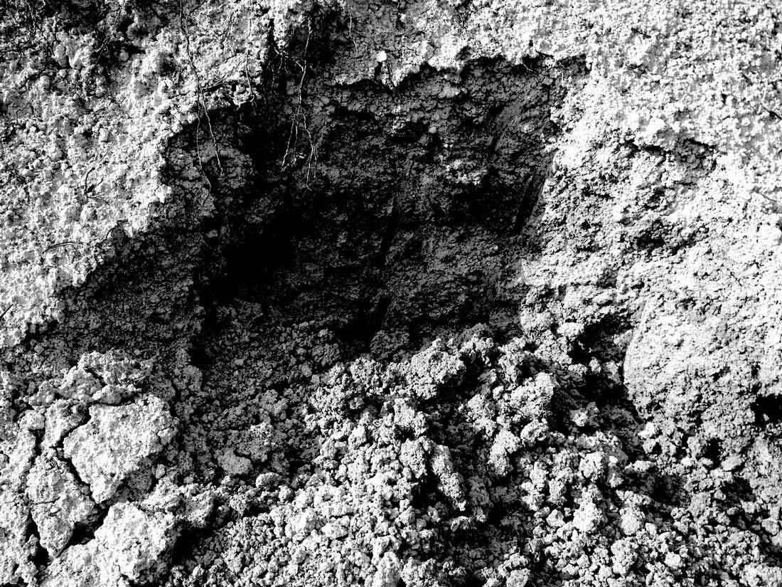 digging_09.jpg