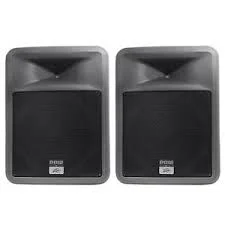 Speakers 10 Peavy.jpg