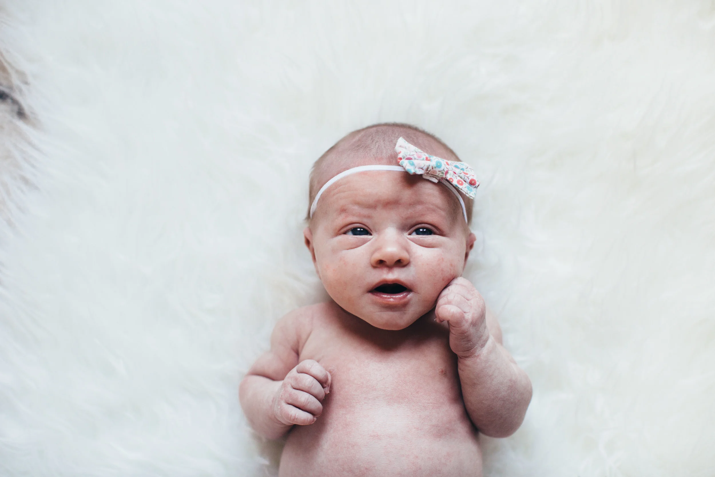 brooklynn-2.jpg