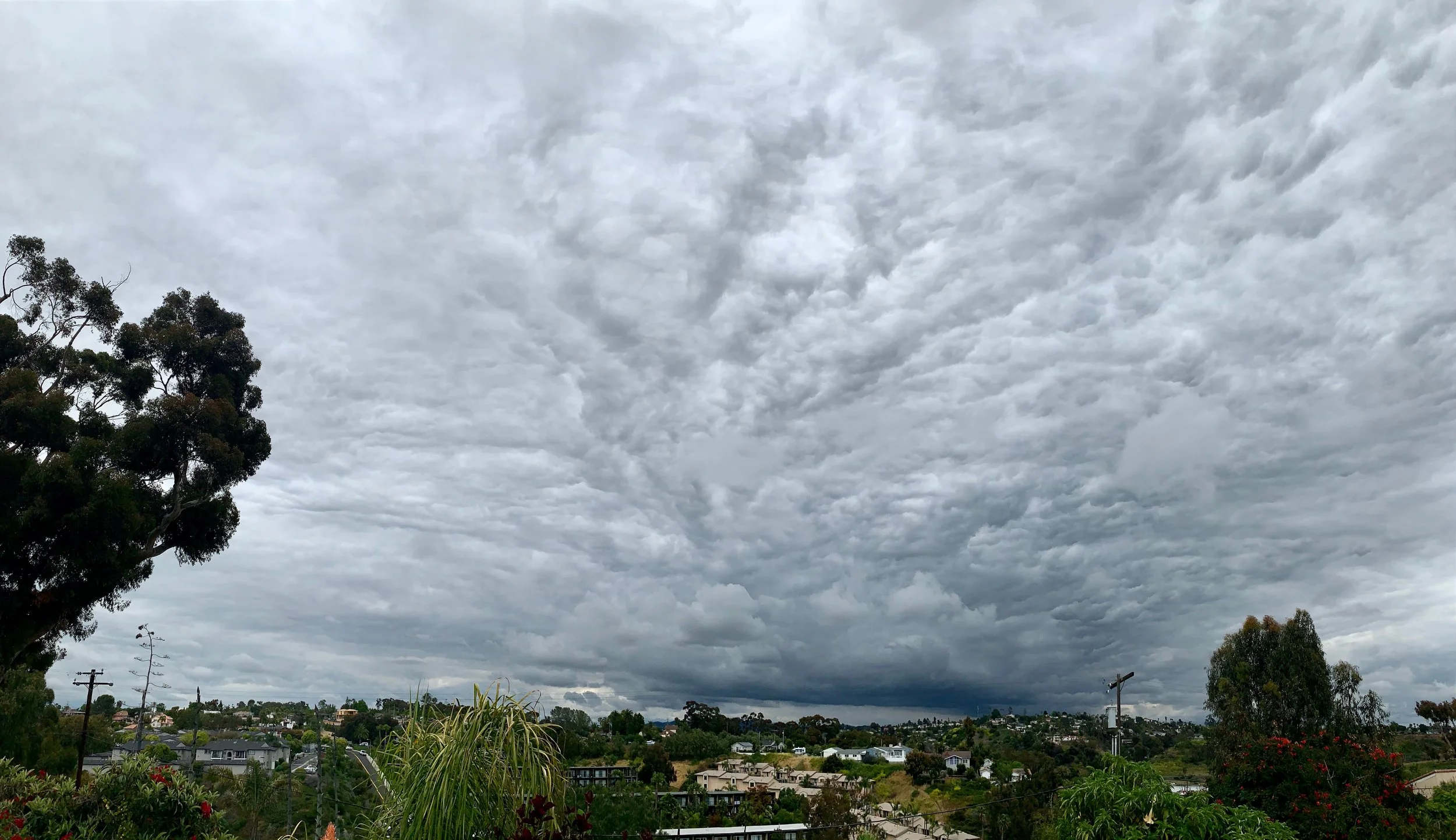 Bonus photo: My incredible, extra crazy weather from this week!