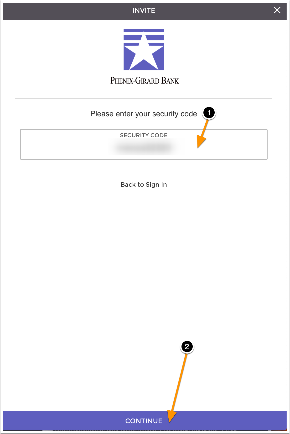 type-in-the-security-code.png