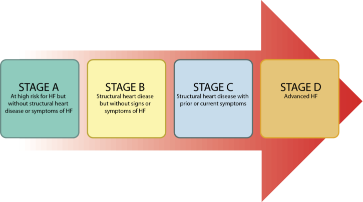 4 Stages Of Heart Failure Jaski 9781935395300 — Cardiotext Publishing