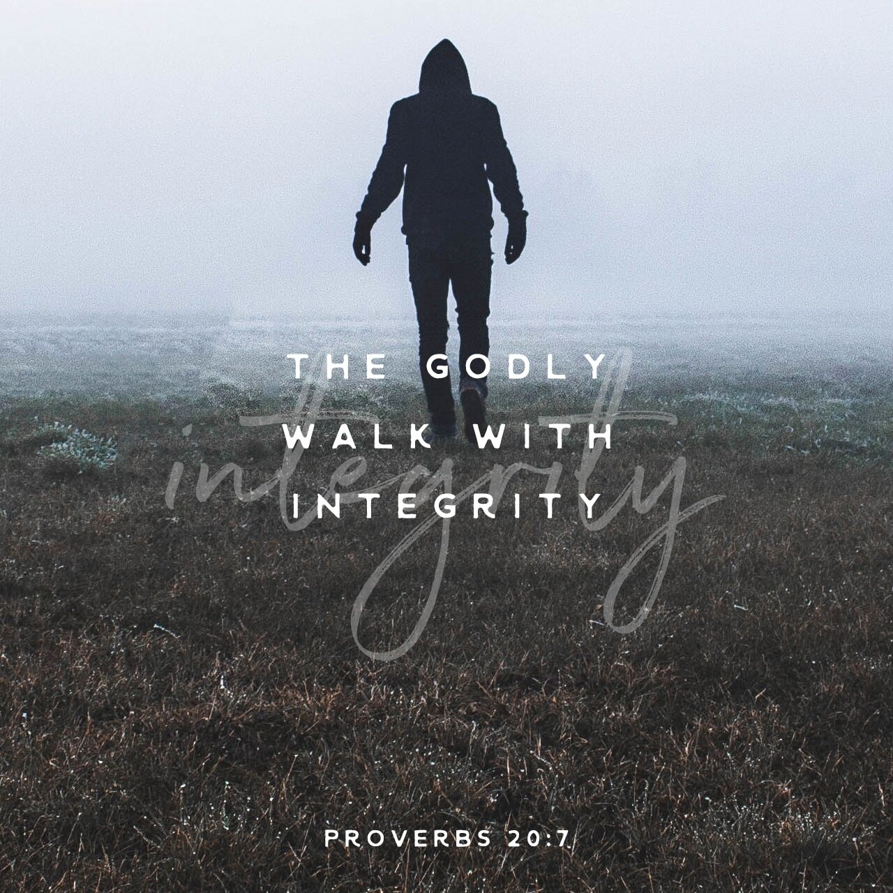 The Godly walk with integrity. ~ Proverbs 20:7