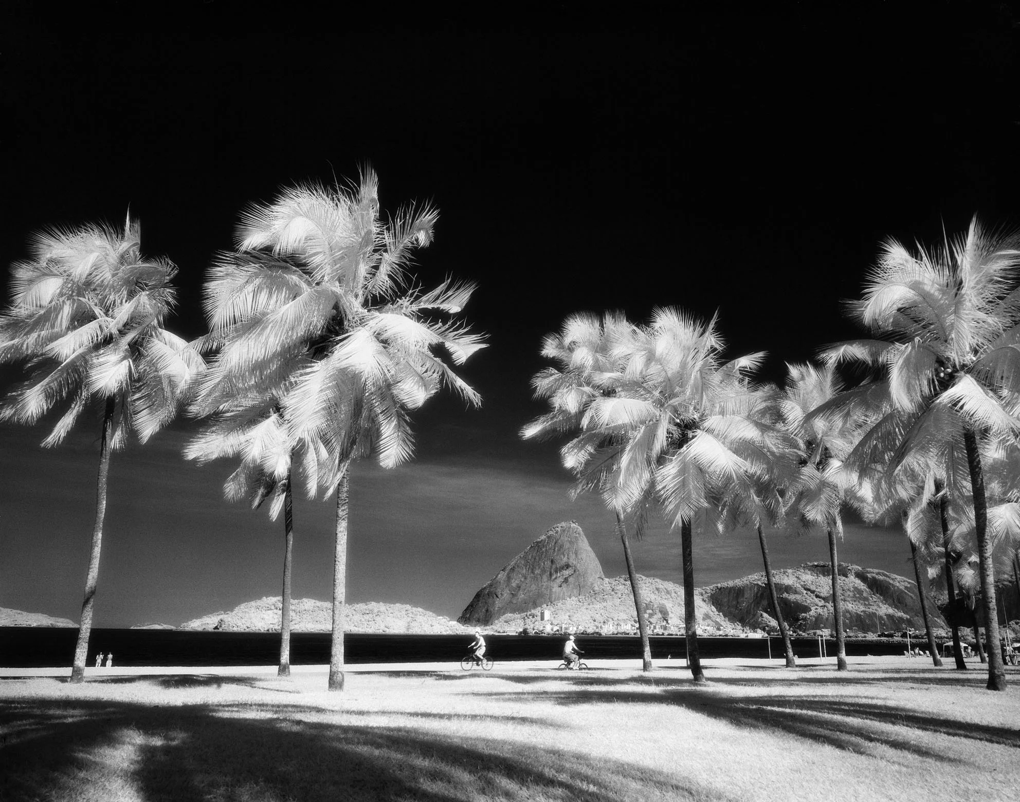 Flamengo 2