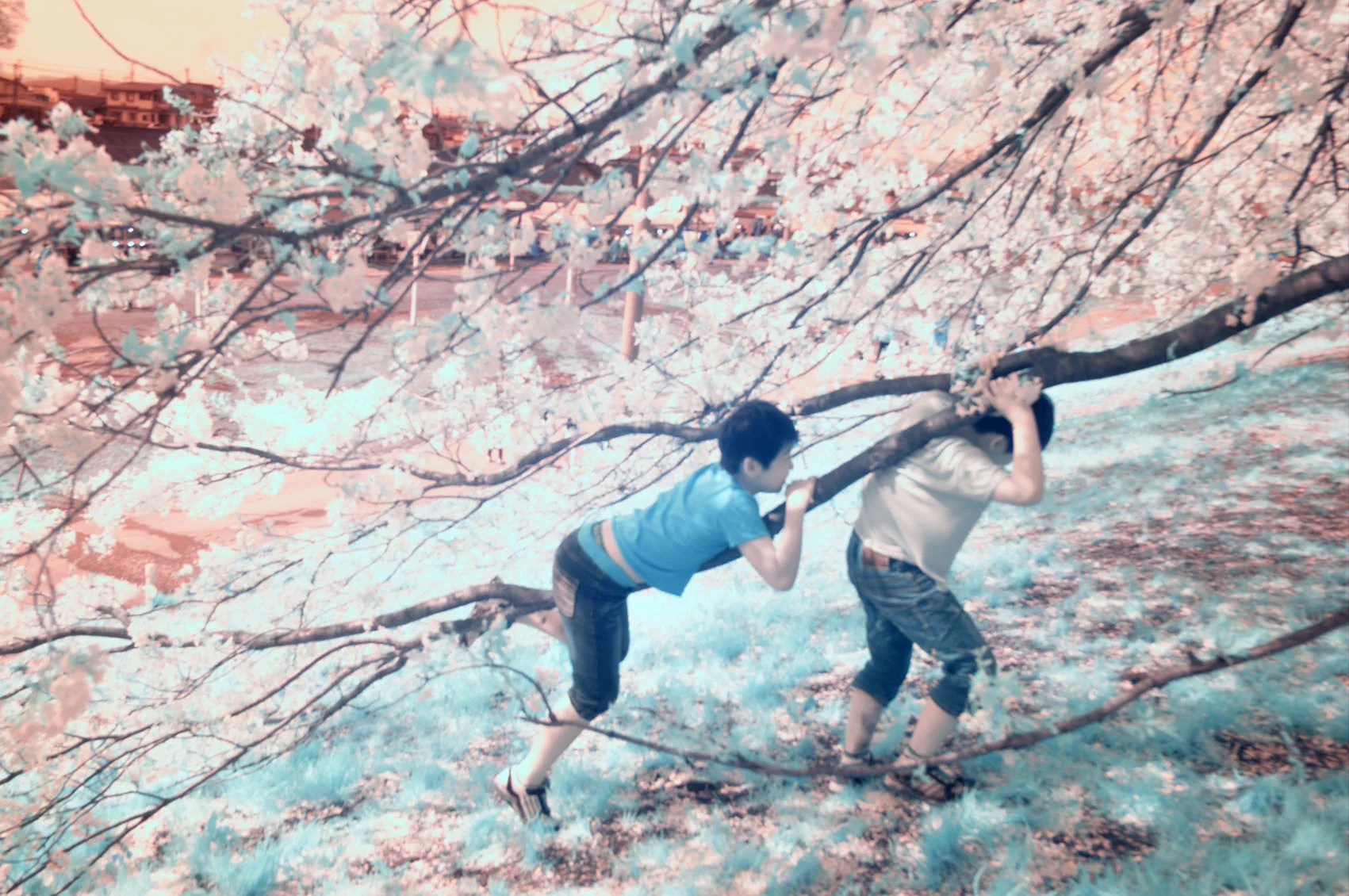 CriançasemOganawa copy.jpg