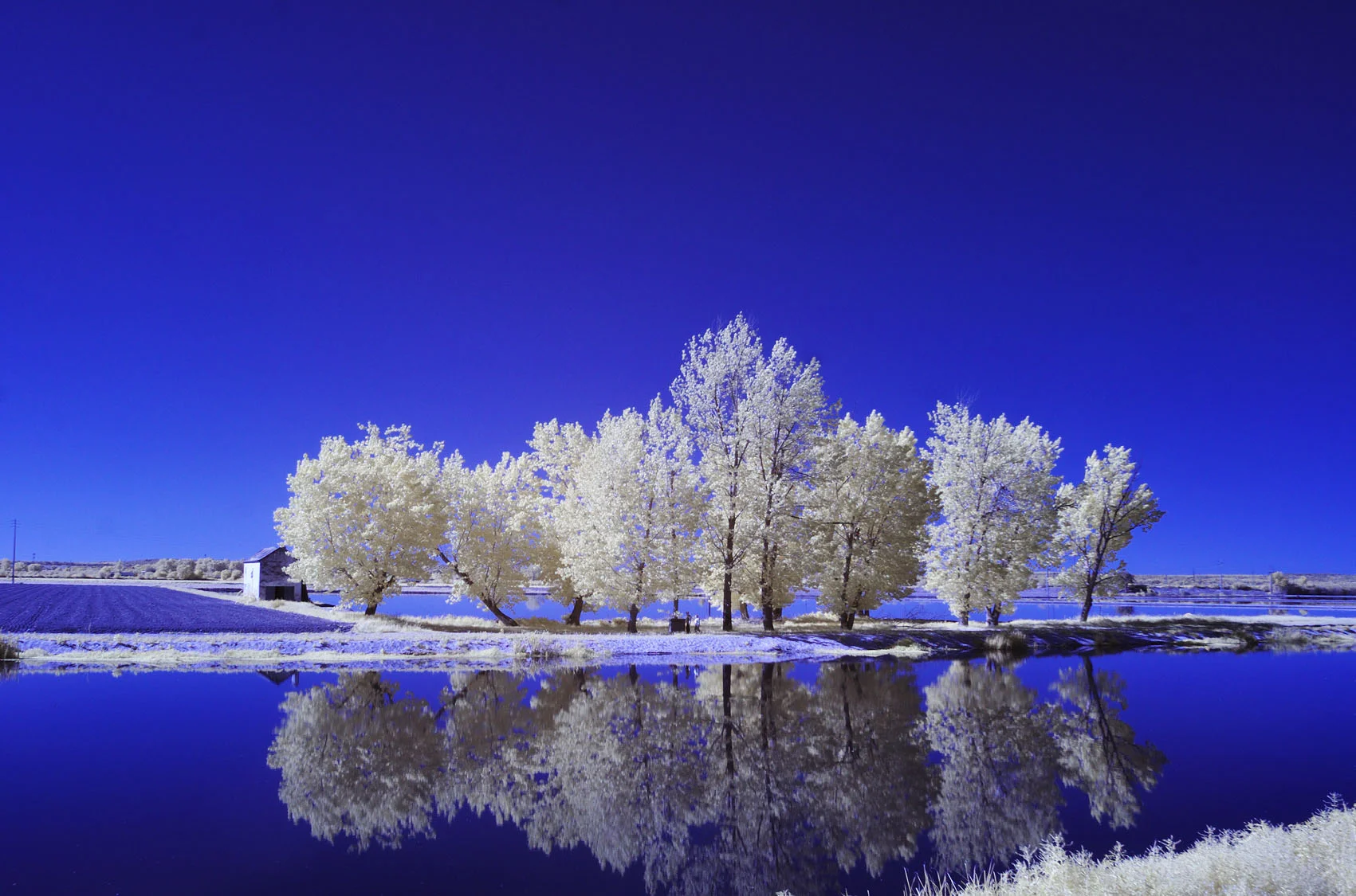 Coruche, Ribatejo, Portugal