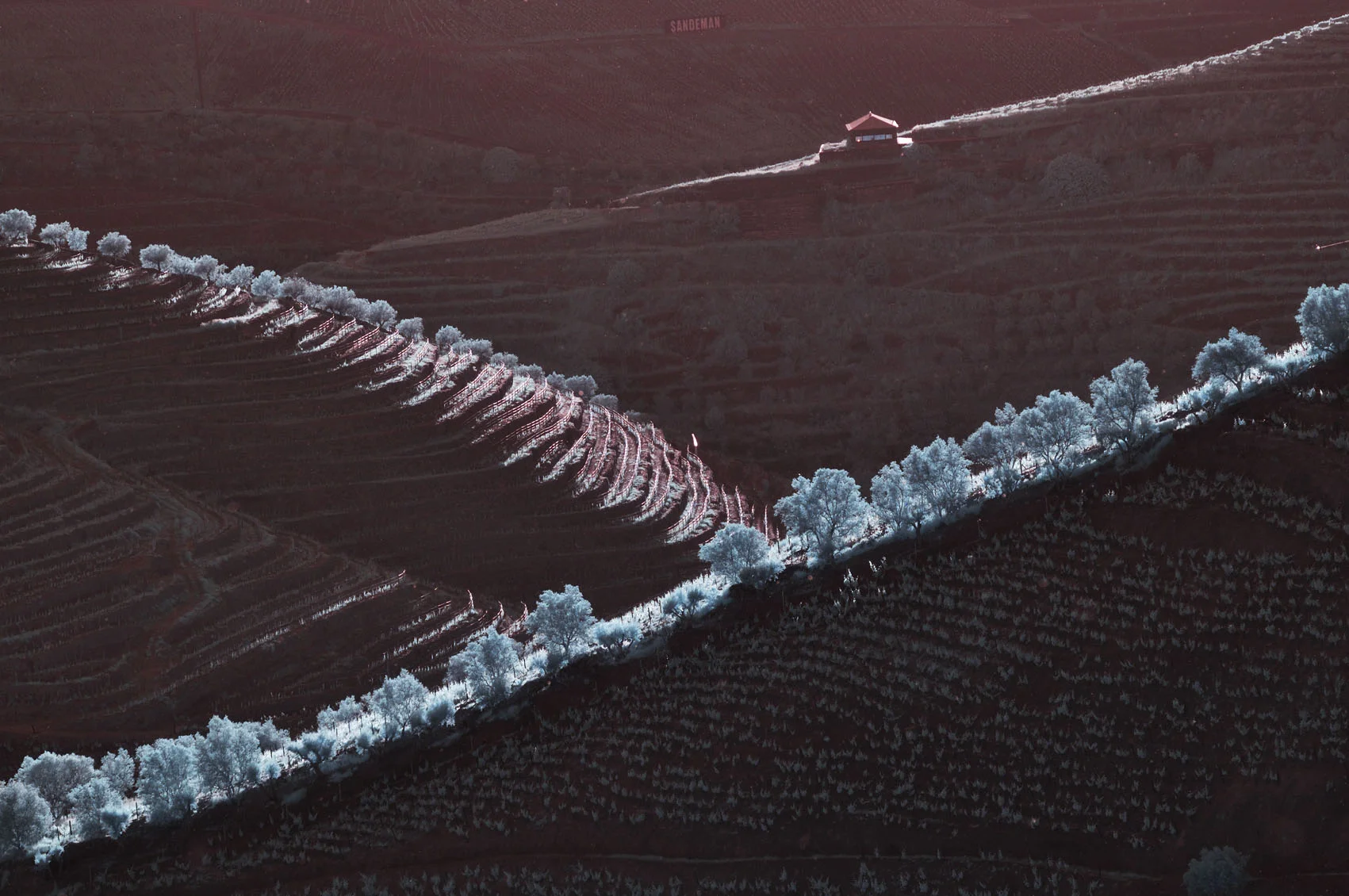 Alto Douro, Portugal