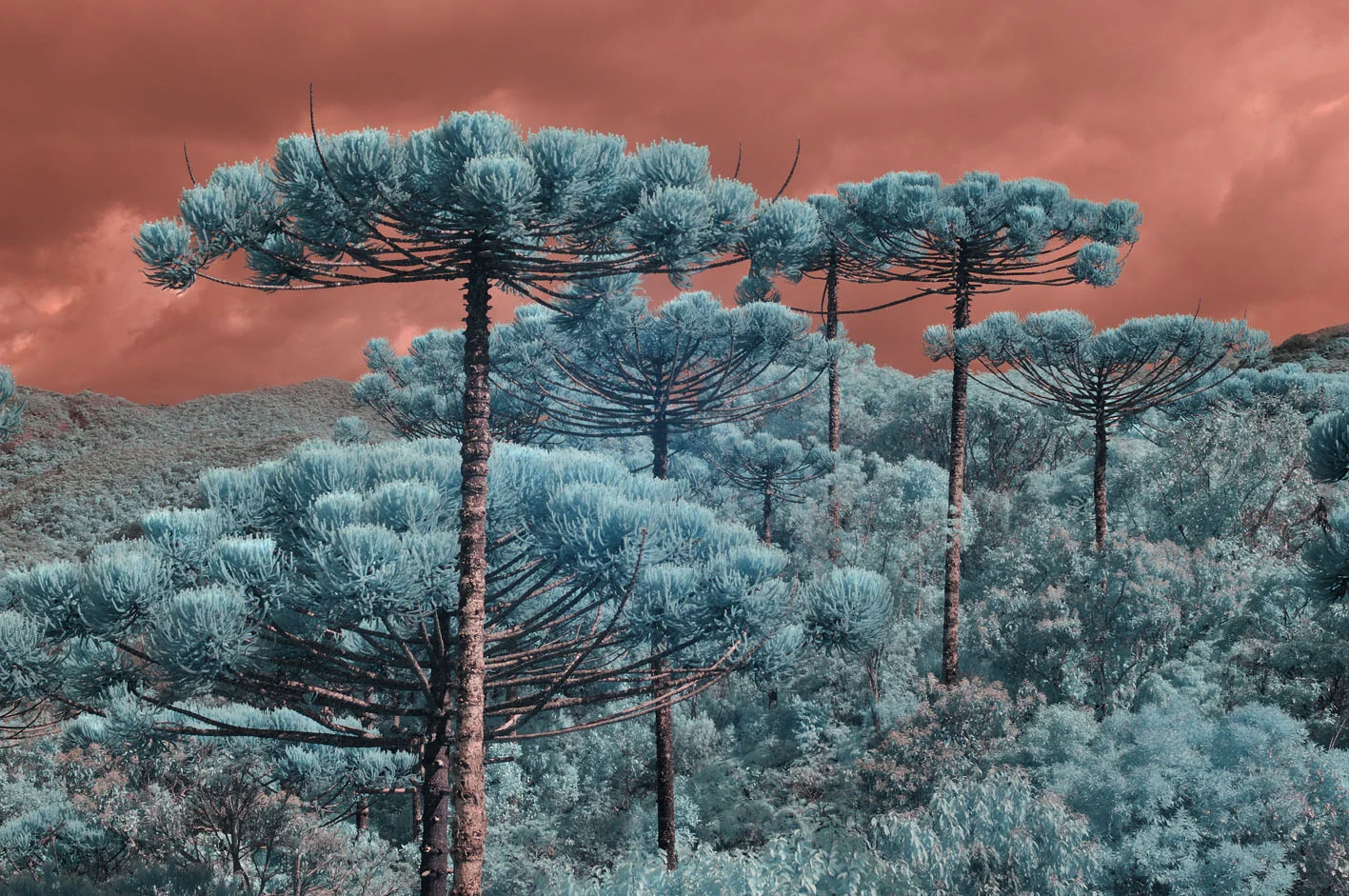Vale do Matutu, Minas Gerais.