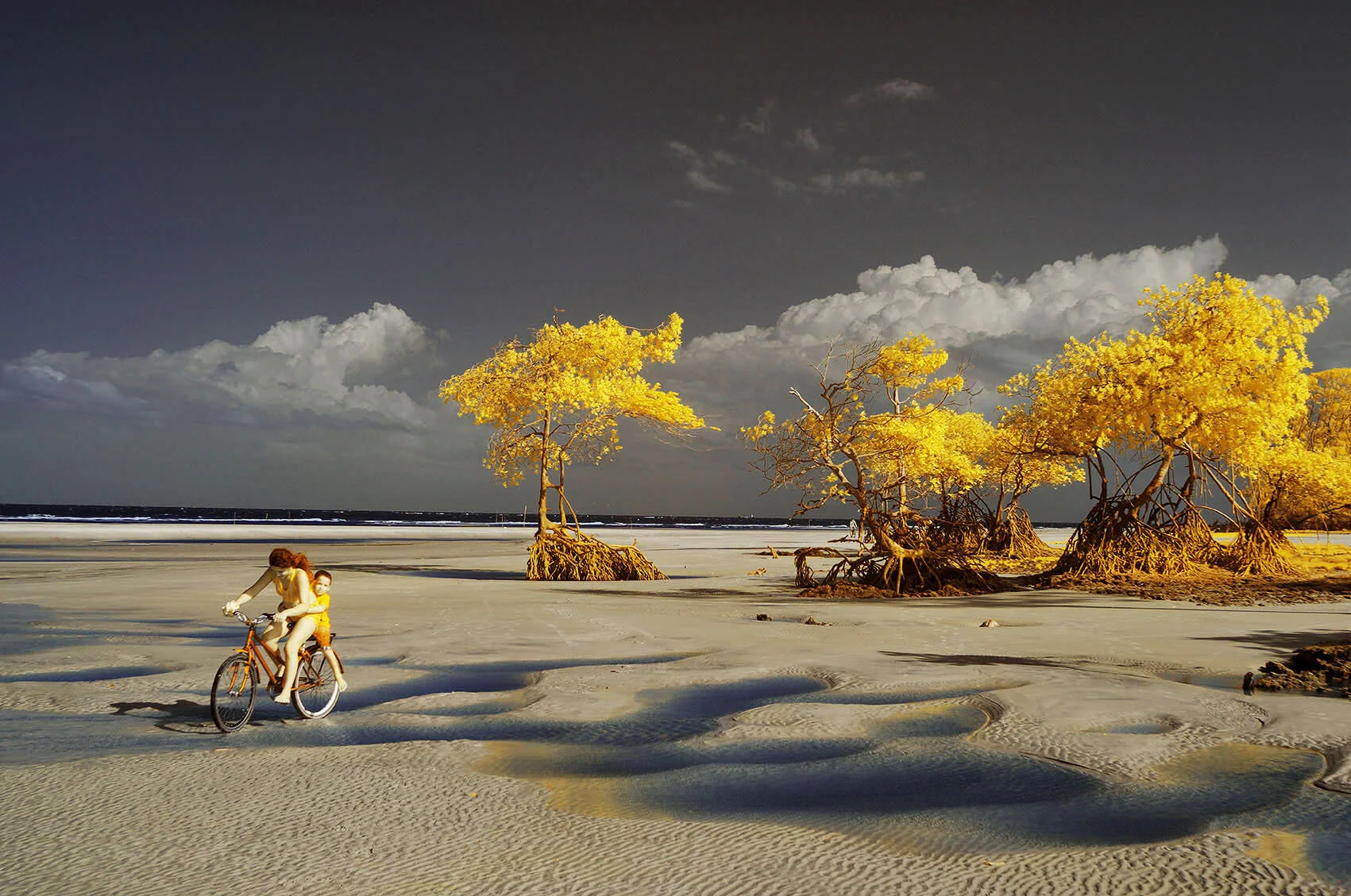 DSC_0160_00001 copiar.jpg