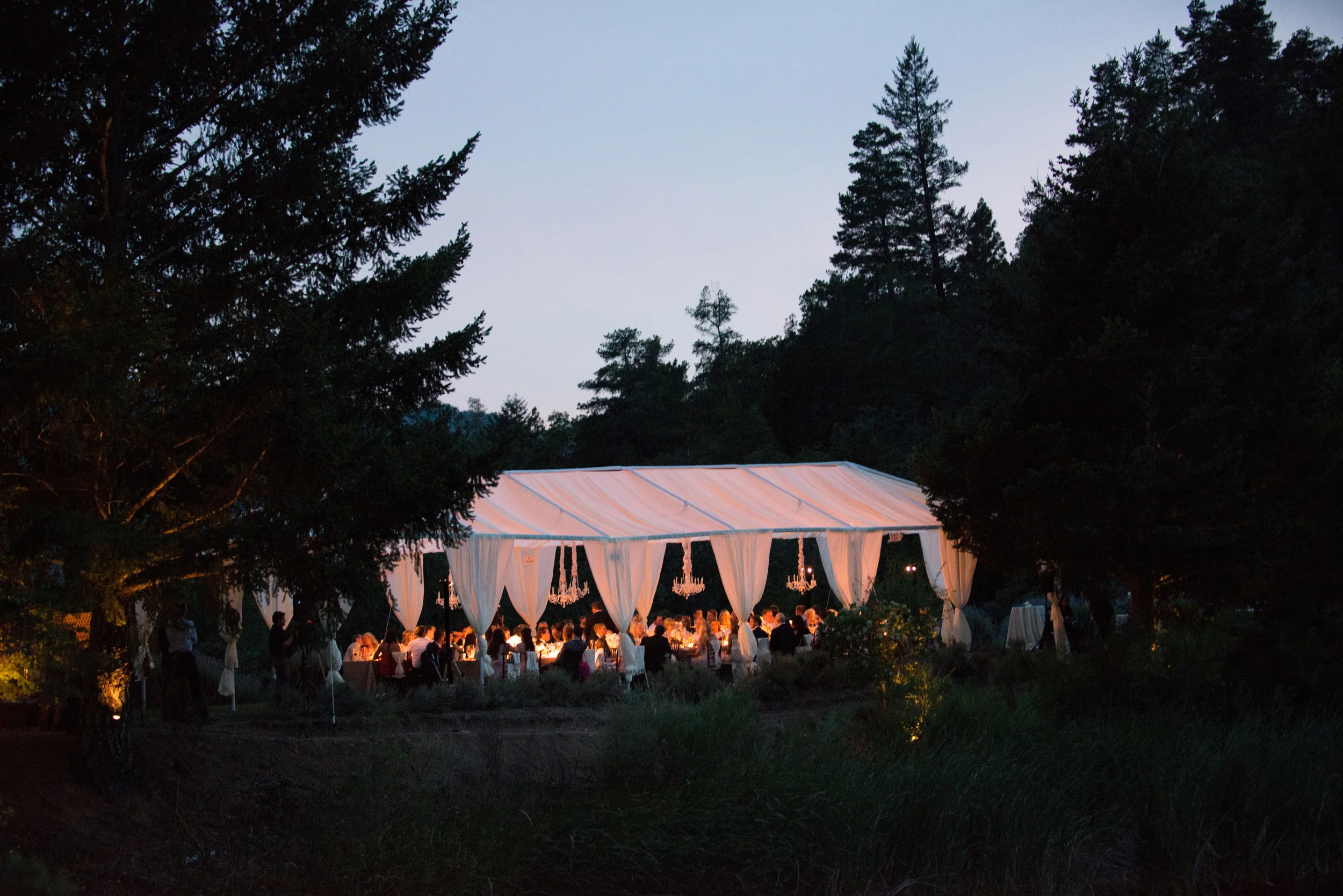 The outdoor reception continues into the night, the sunset framed by tall pines in Calistoga; photo by Sylvie Gil