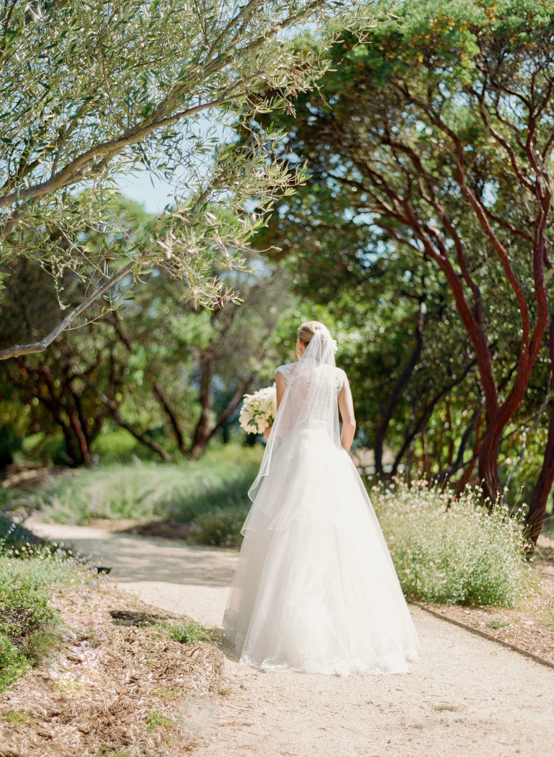 Bride walks through olive trees before the first look in Calistoga Ranch; Sylvie Gil Photography