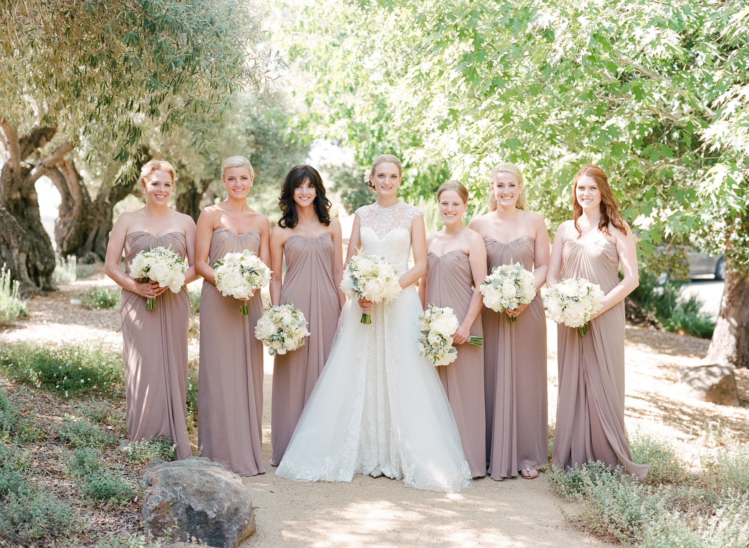 Bride and bridesmaids pose among olive trees in Calistoga Ranch