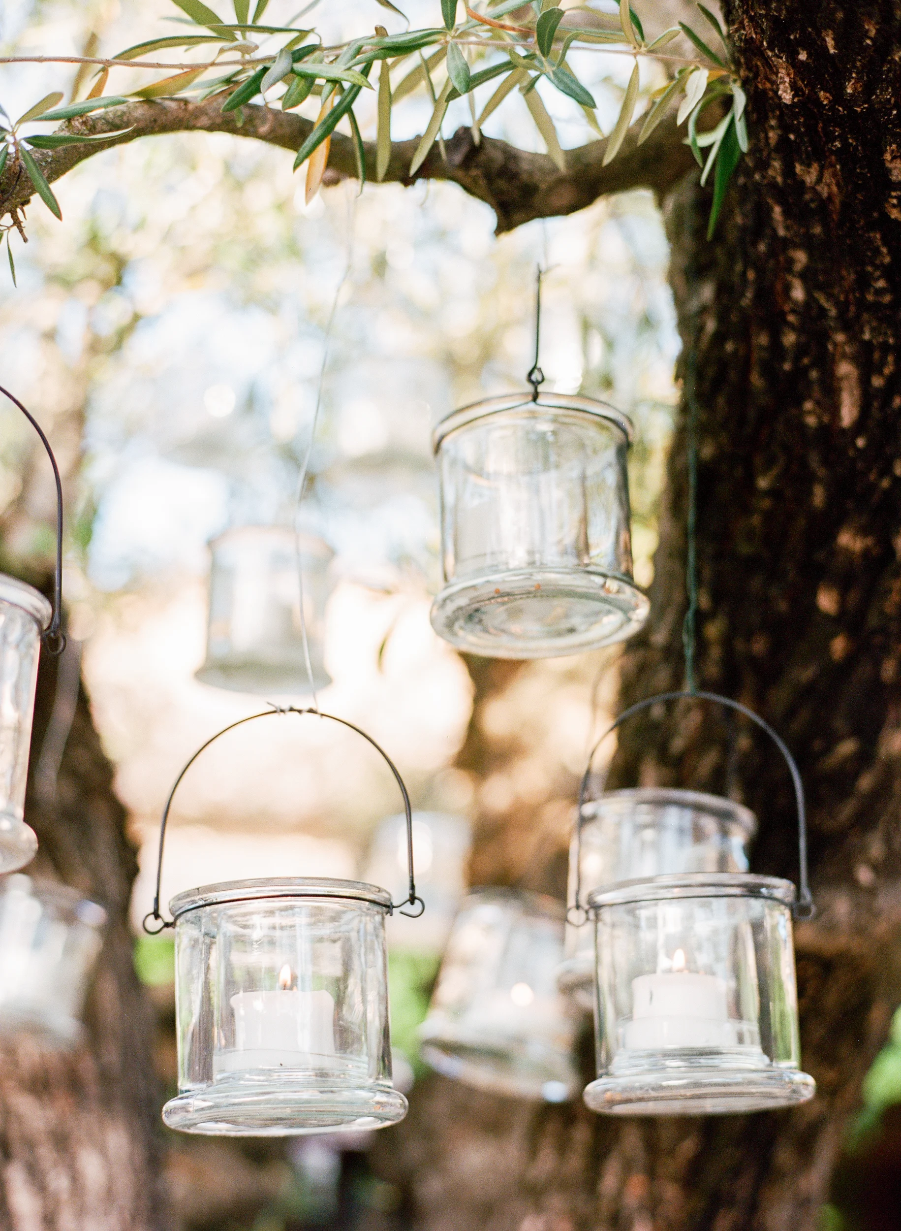 Tea light votives hung from an olive tree for the outdoor reception; Sylvie Gil Photography