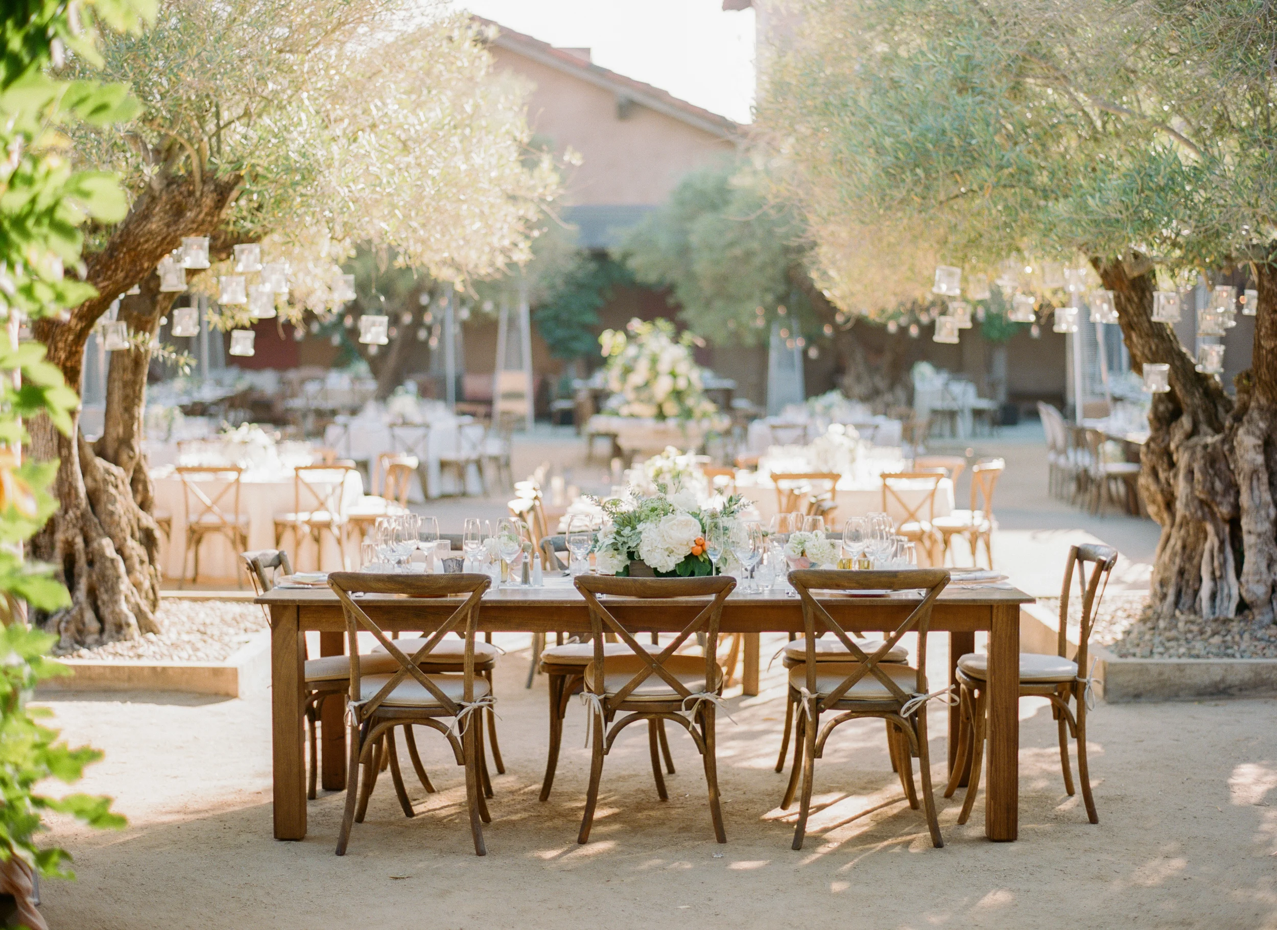 Outdoor reception table set under olive trees hung with tea lights at Calistoga Ranch; Sylvie Gil Photography