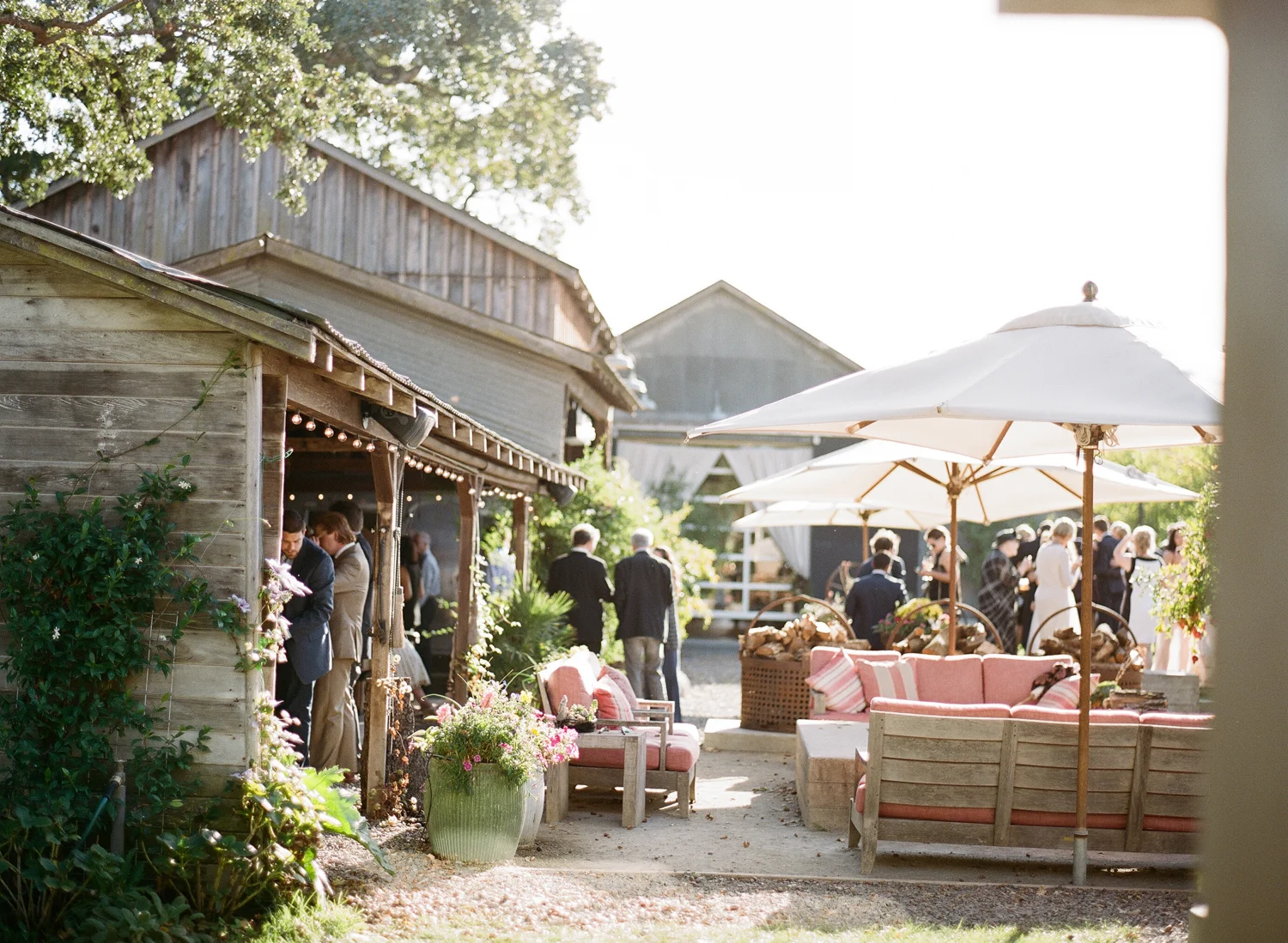 Guests mingle among rustic string-lit barns during the reception cocktail hour; Sylvie Gil Photography