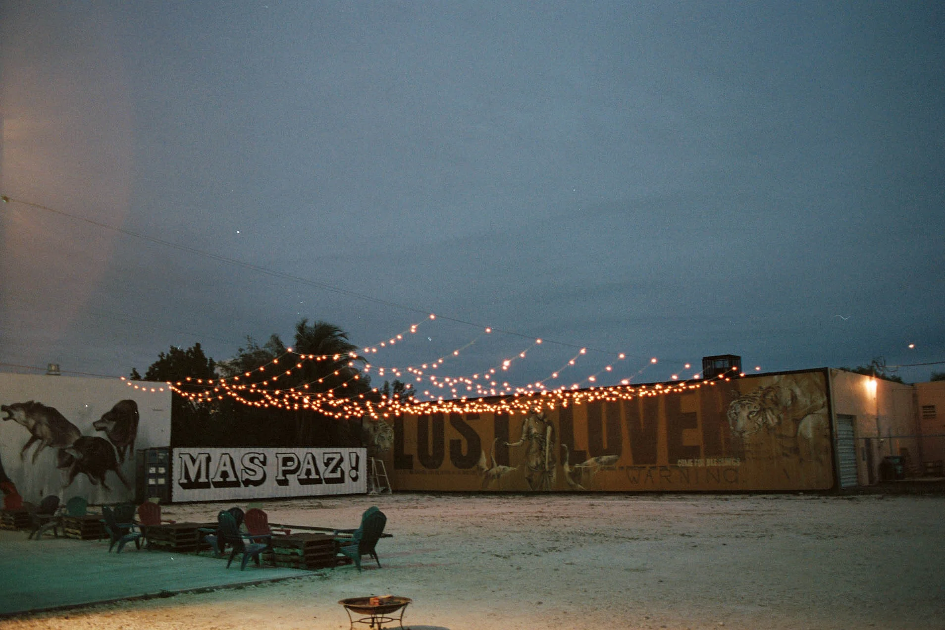 01bd3-wynwood_miamiwynwood_miami.jpg