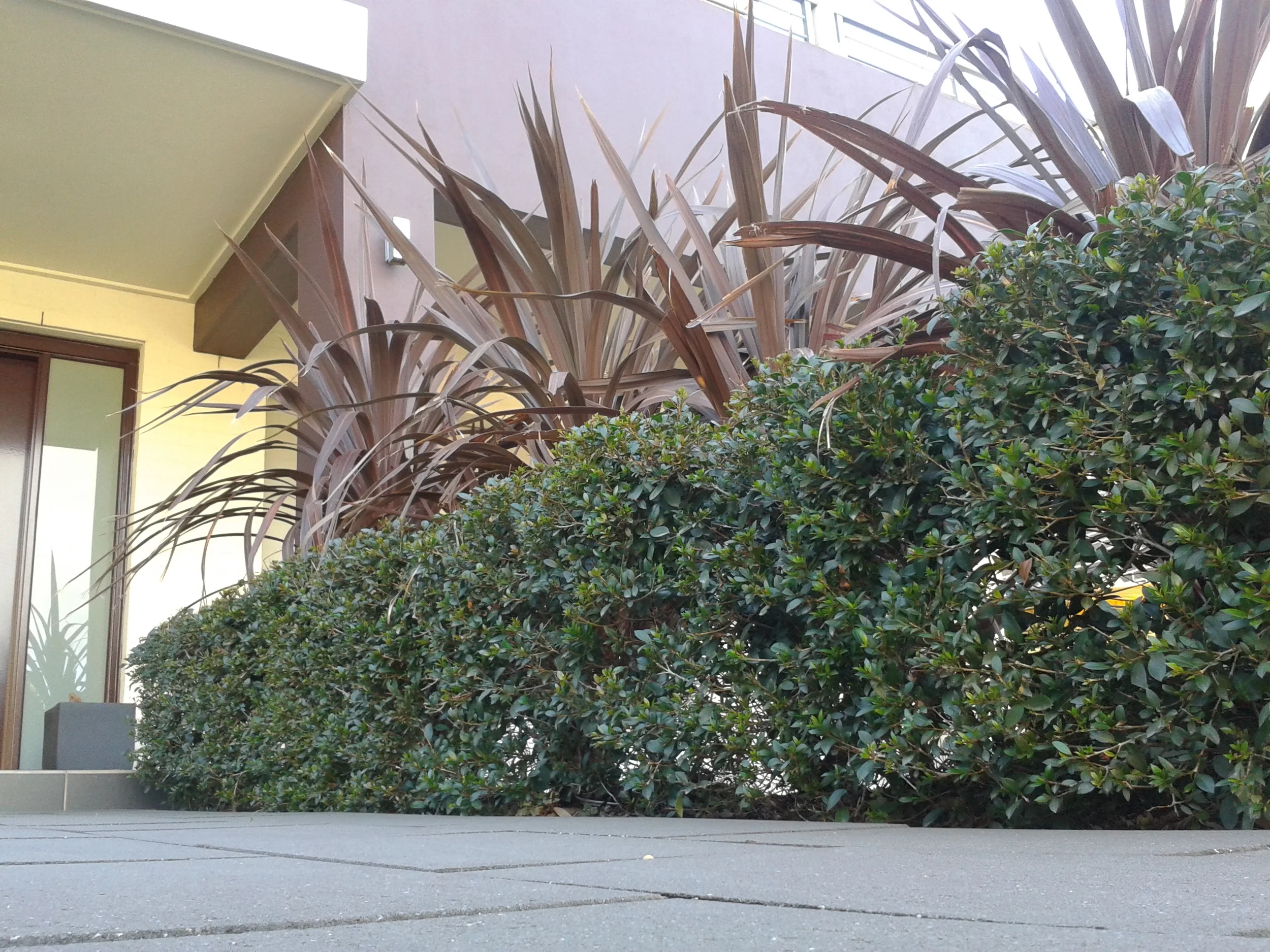 20130521_104137.jpg