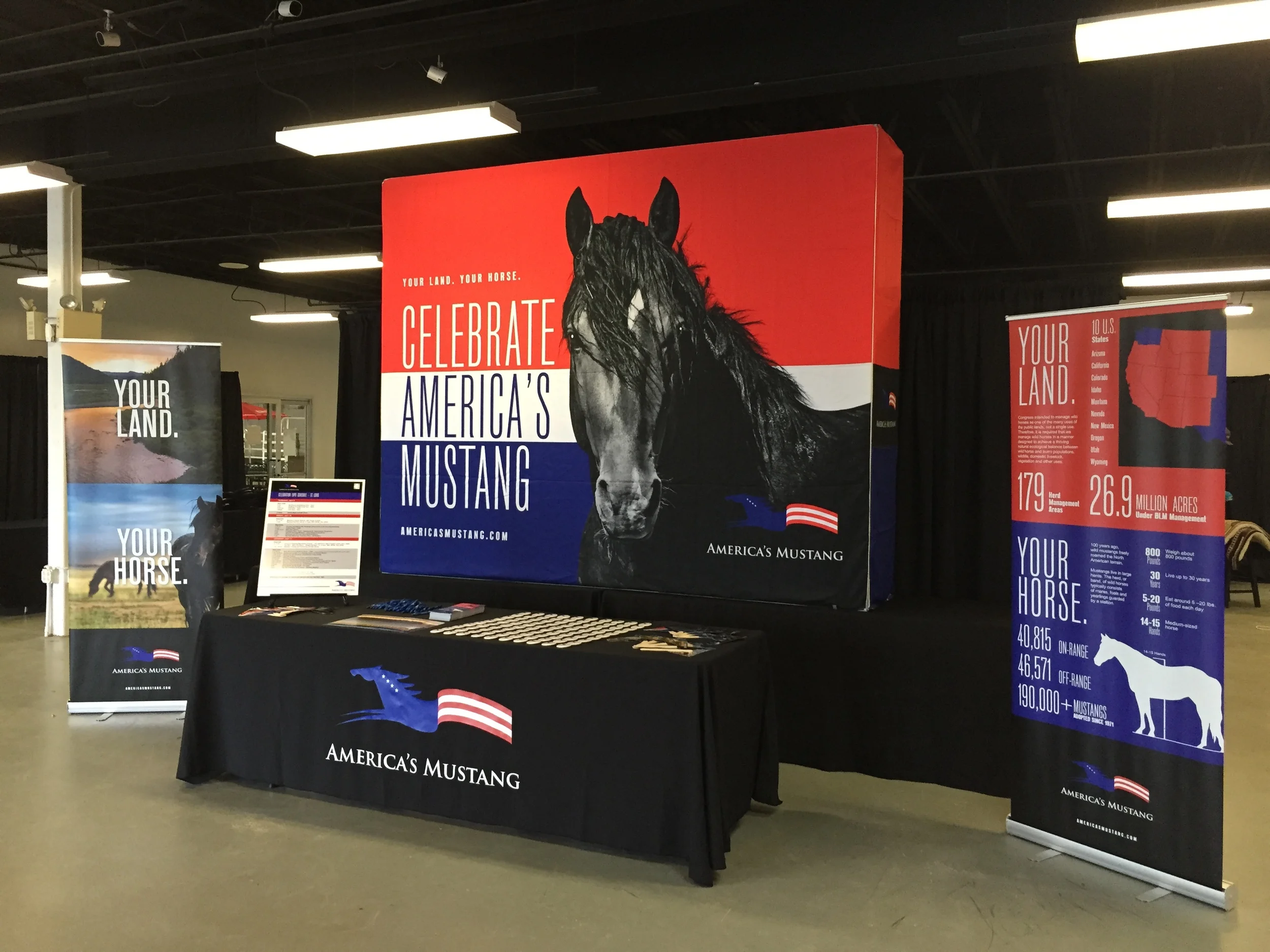 2015-07-08 14.51.41.jpg