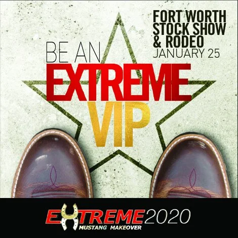 EMM 2020_TX VIP_Facebook visual 1.02.20.jpg