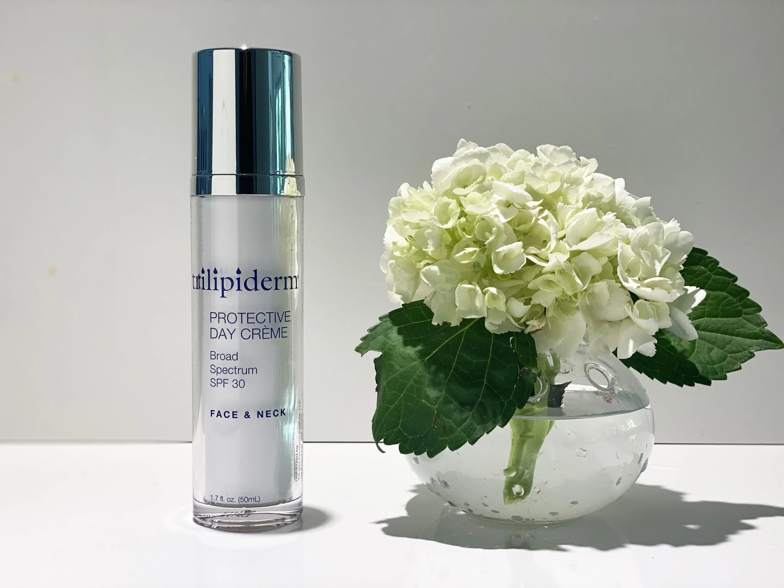 TRI_PDC_hydranga on white_IMG_2824.jpg