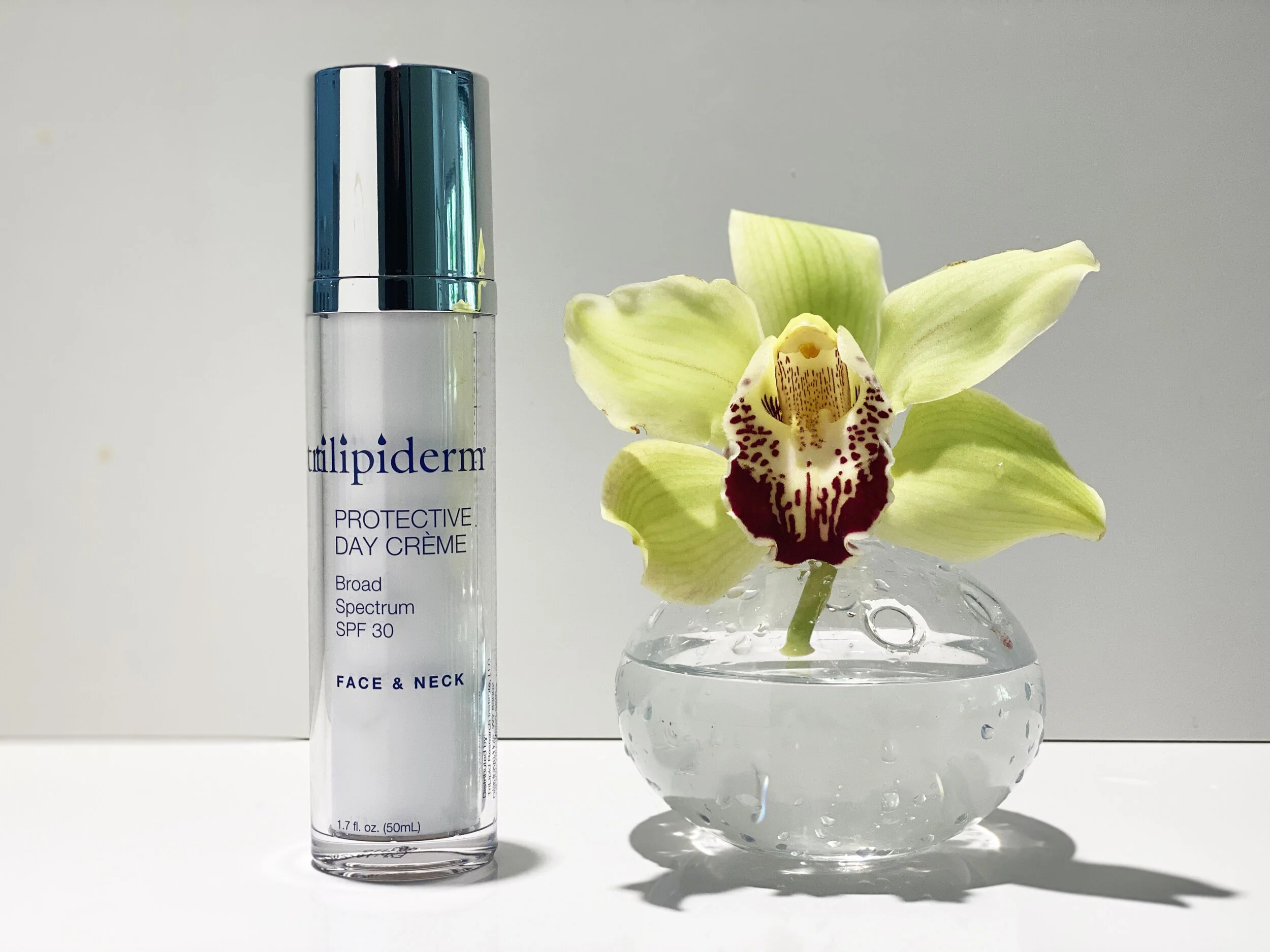 TRI_PDC_orchid on white_IMG_2822.jpg