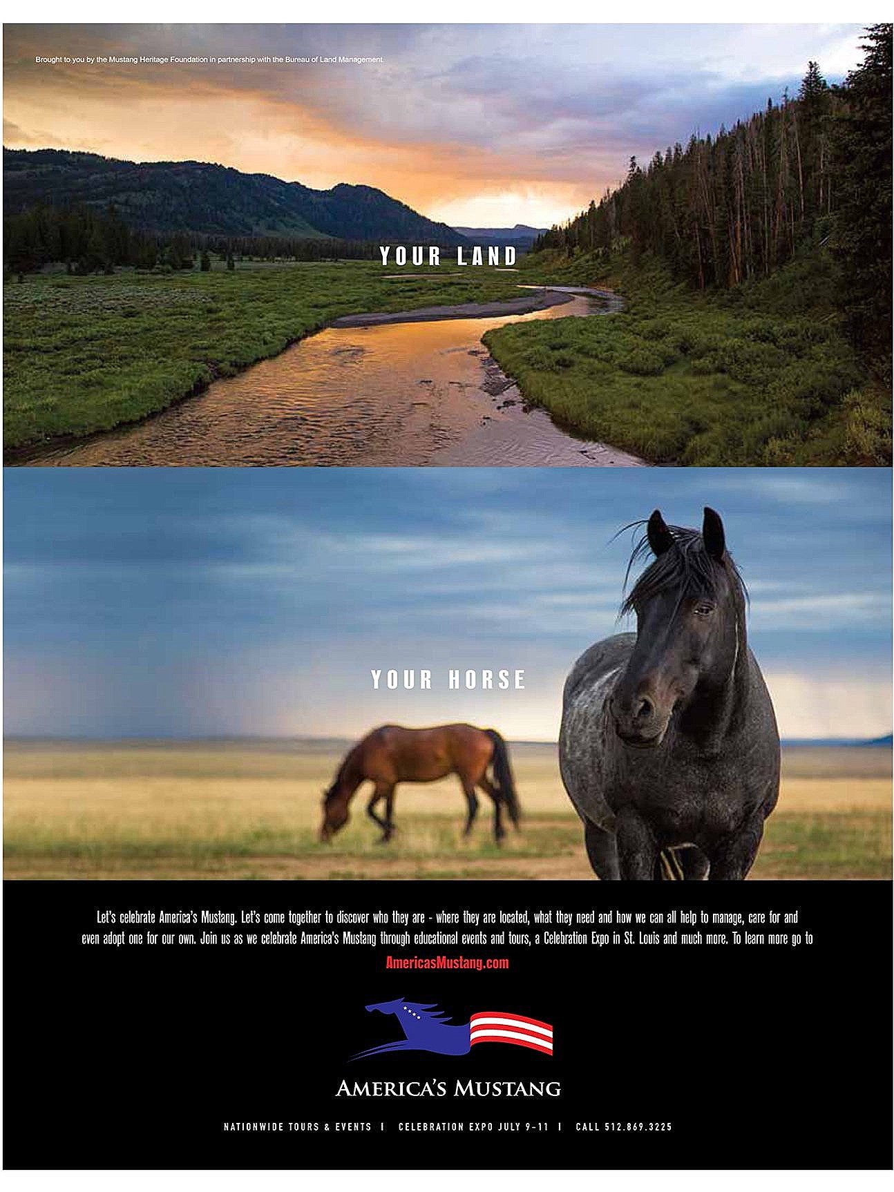 BC_AmericasMustang_theme+print+ad.jpg