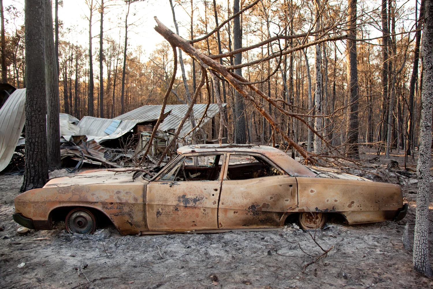  Paint peeled off of cars and metal roofs became loose ribbons in the fire. 