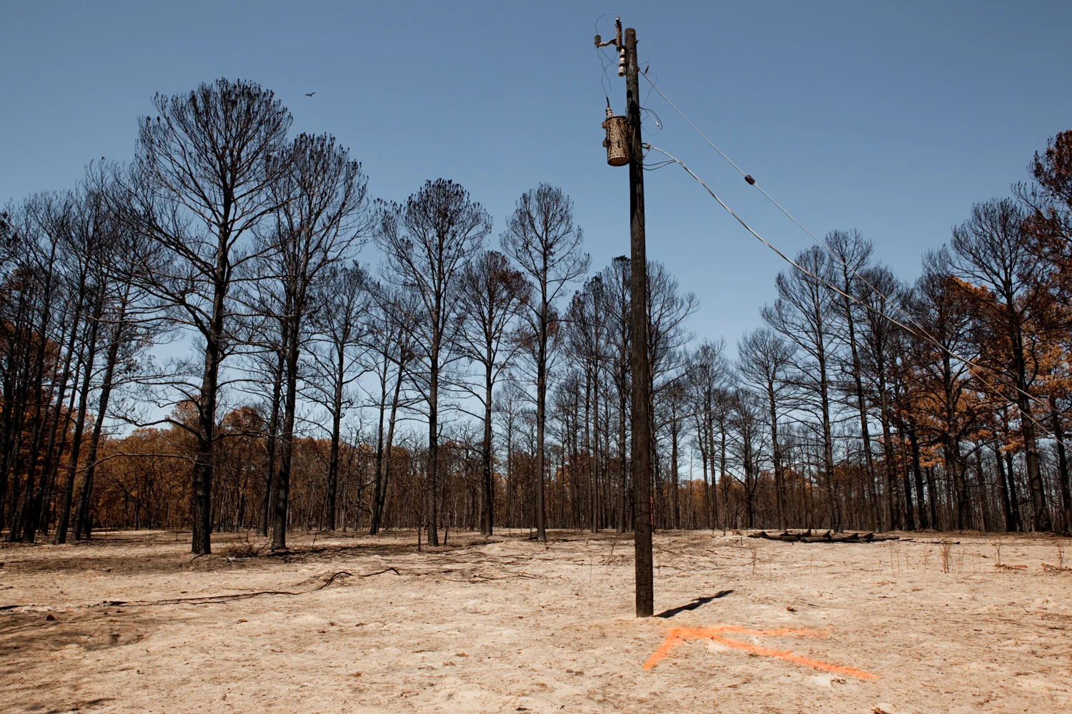  At 258 Charolais Drive, in the Circle D subdivision, a tree fell into these power lines, and the sparks ignited the dry brush below. &nbsp;This is the origin of the Bastrop fire. 