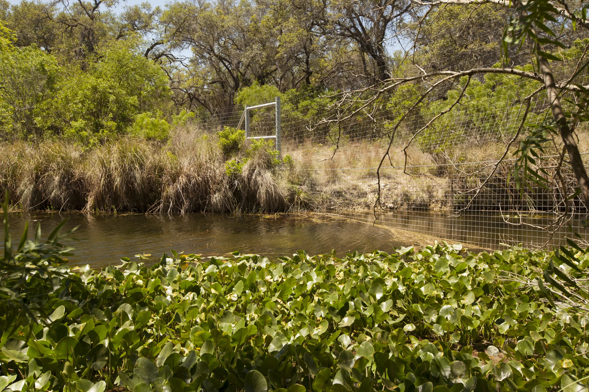 SW130420DelRioWater_0475.JPG