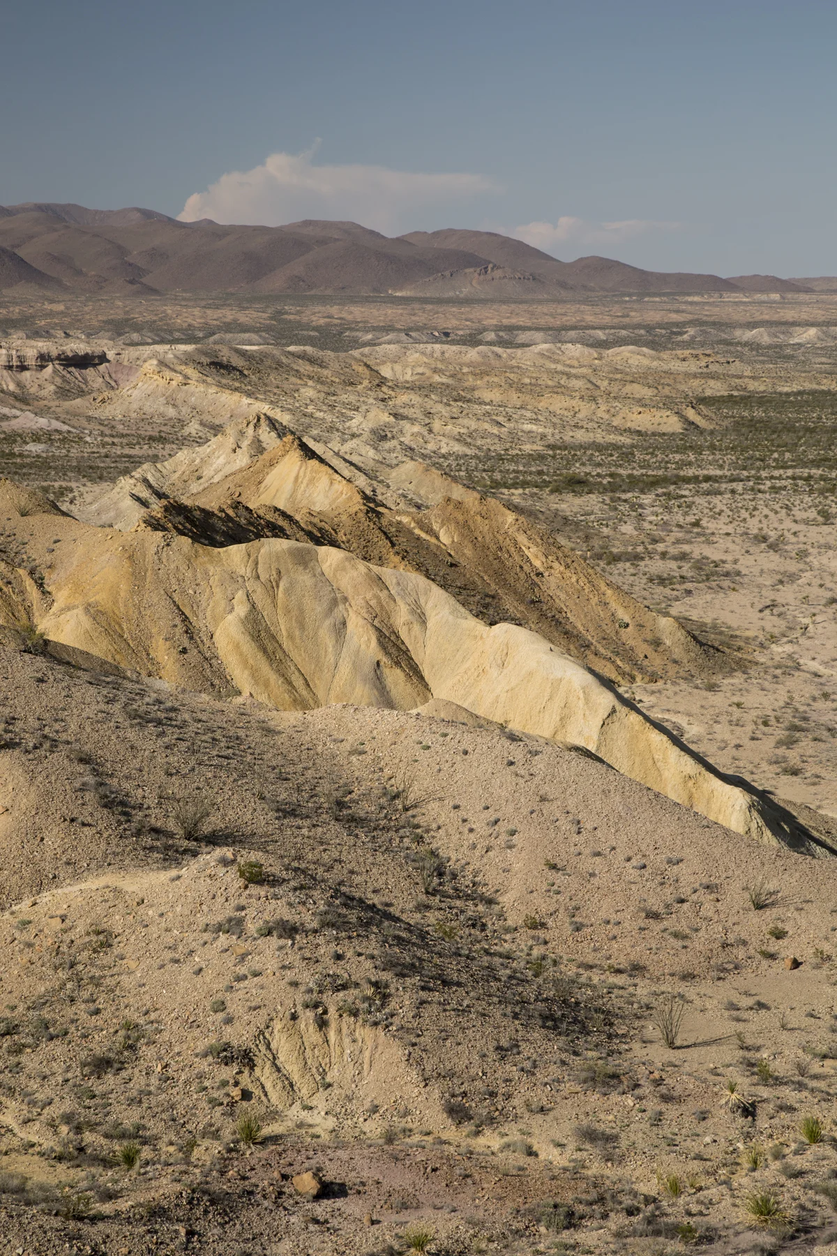 SW141208BigBendDig_0944.JPG