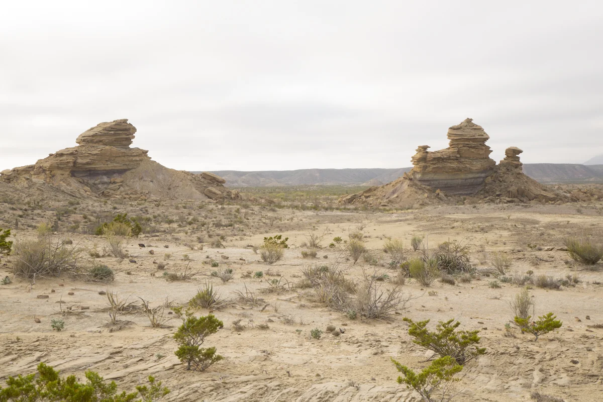 SW141208BigBendDig_1017.JPG