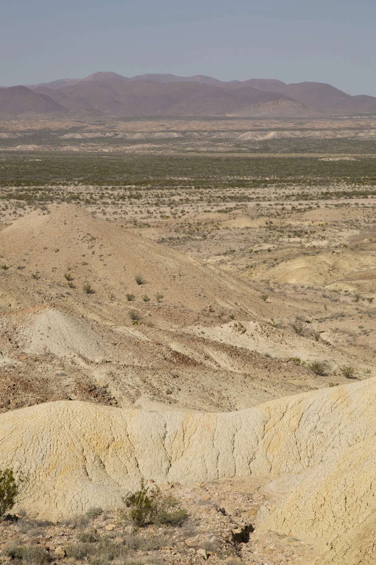 SW141208BigBendDig_1044.JPG