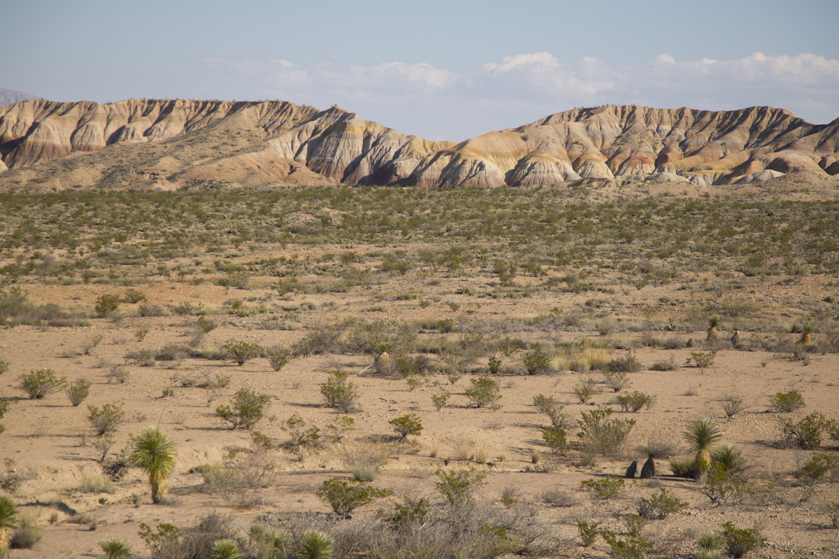 SW141208BigBendDig_1066.JPG