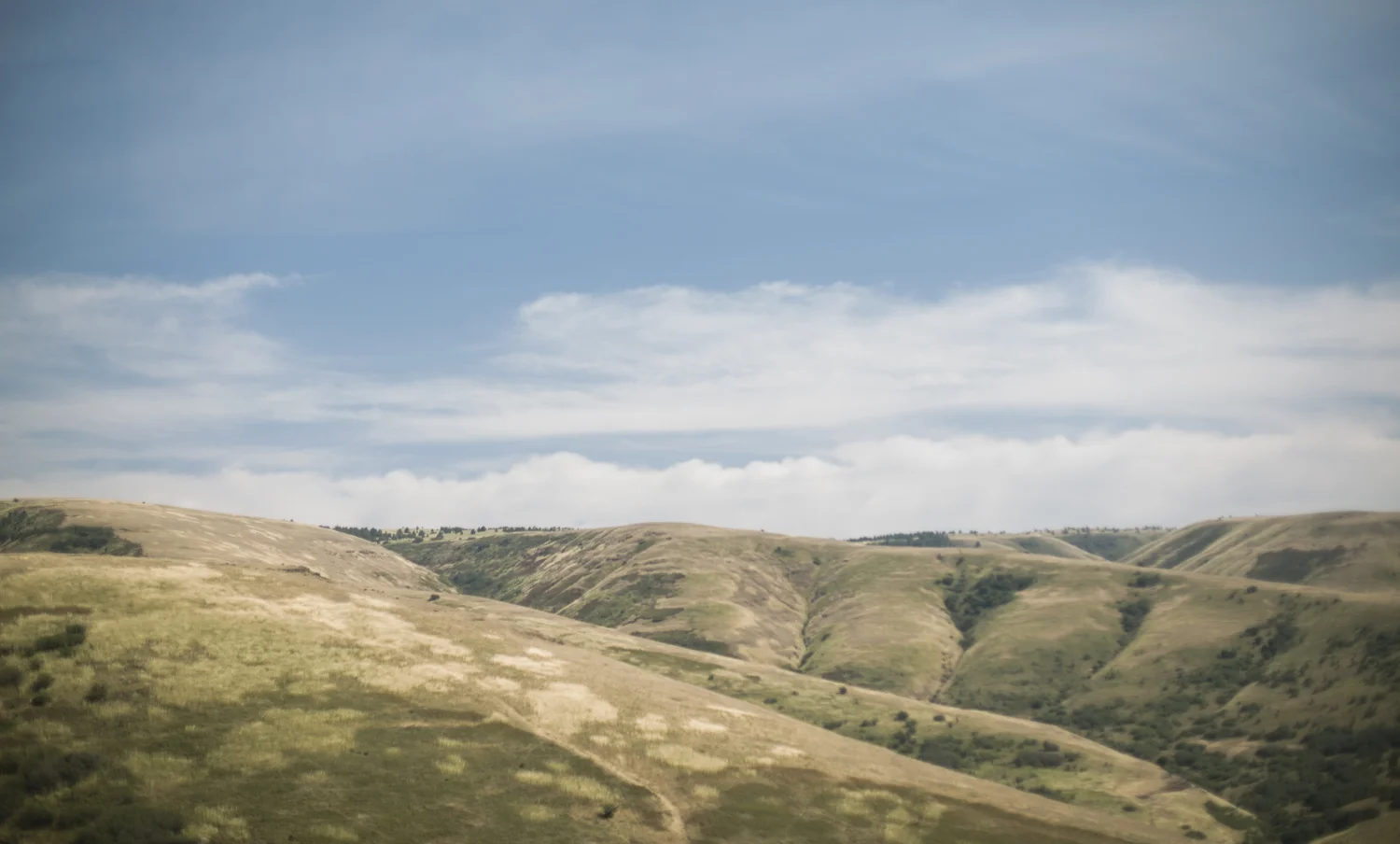 SW150701Oregon_165.JPG