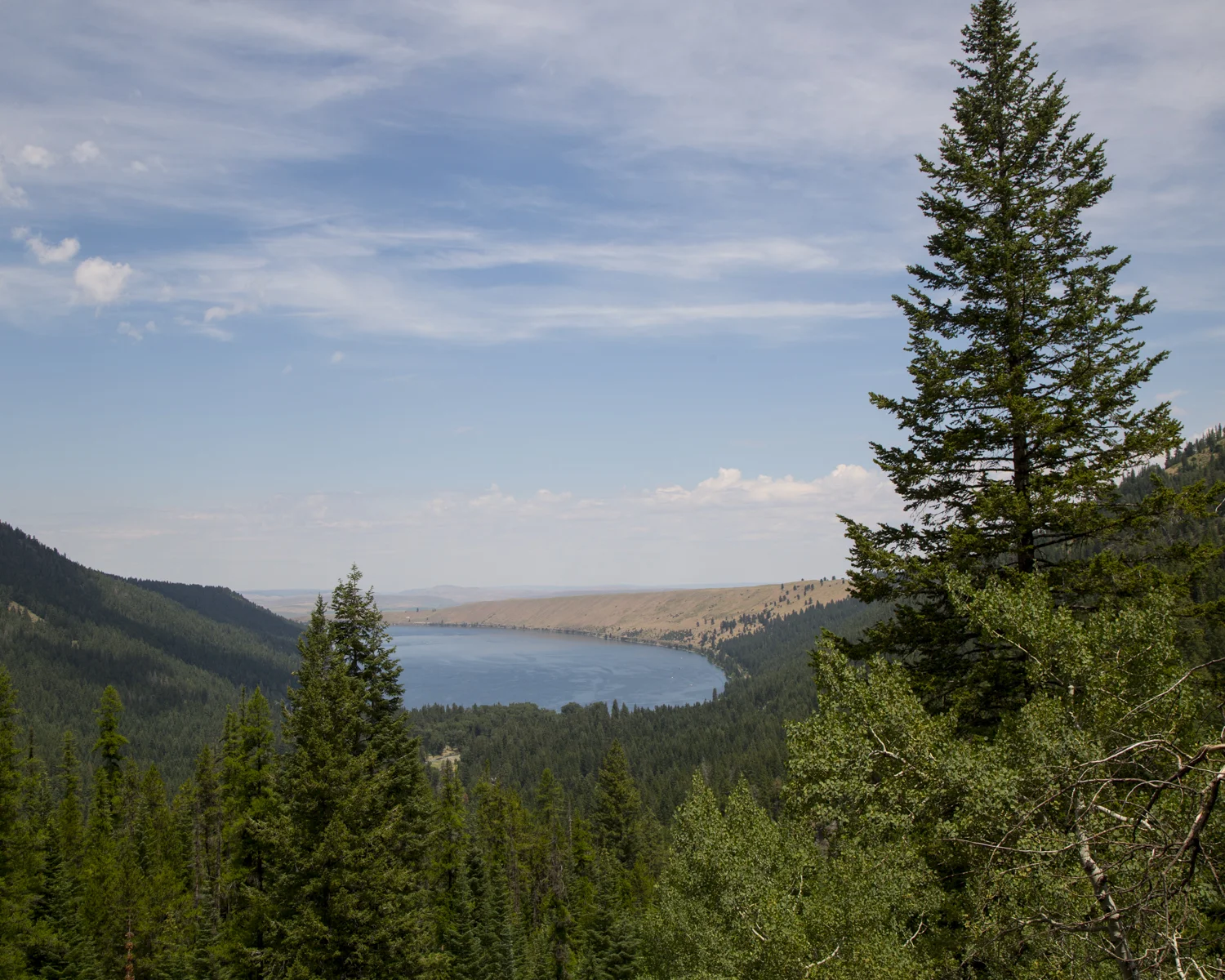 SW150701Oregon_612.JPG