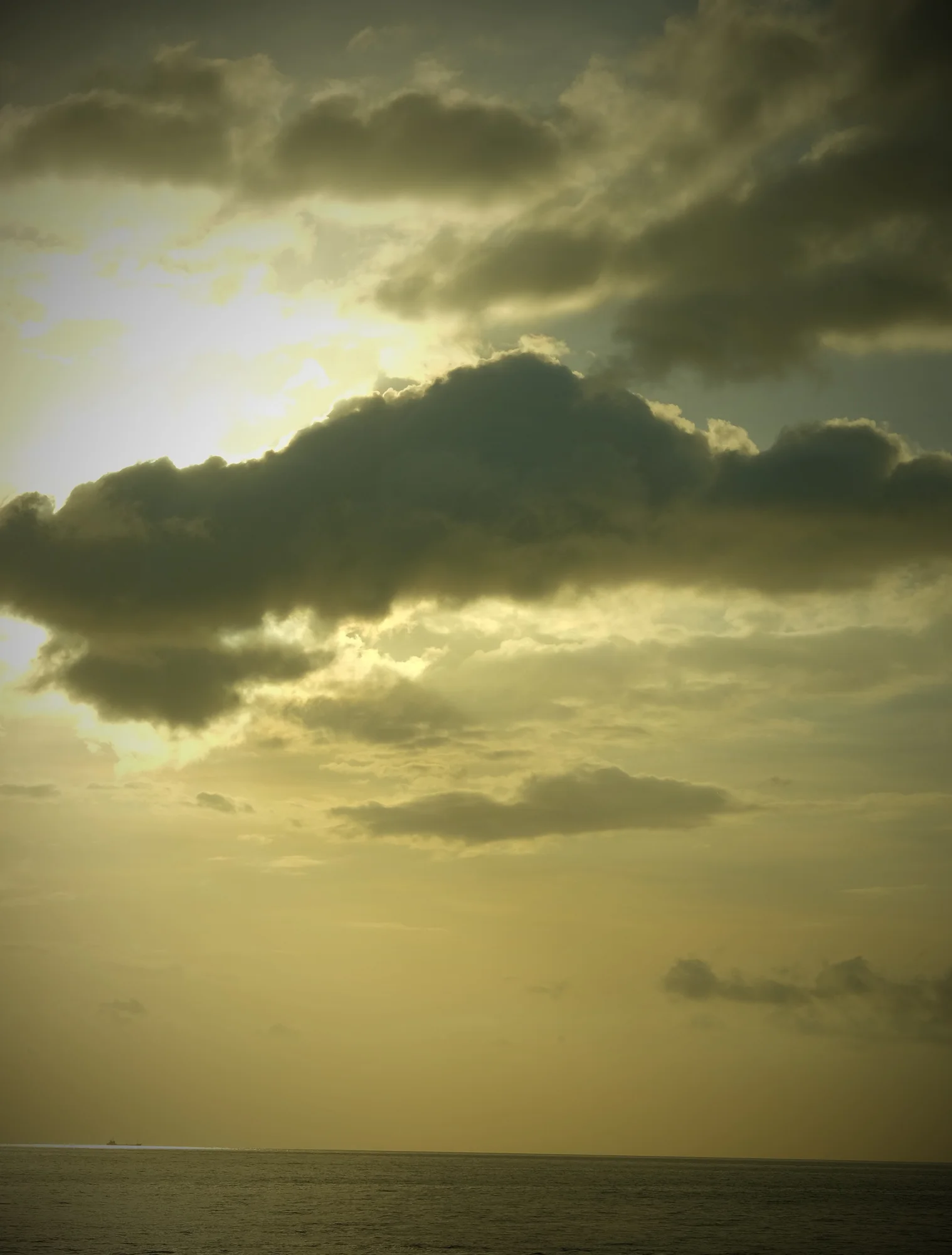 _DSF0490.JPG