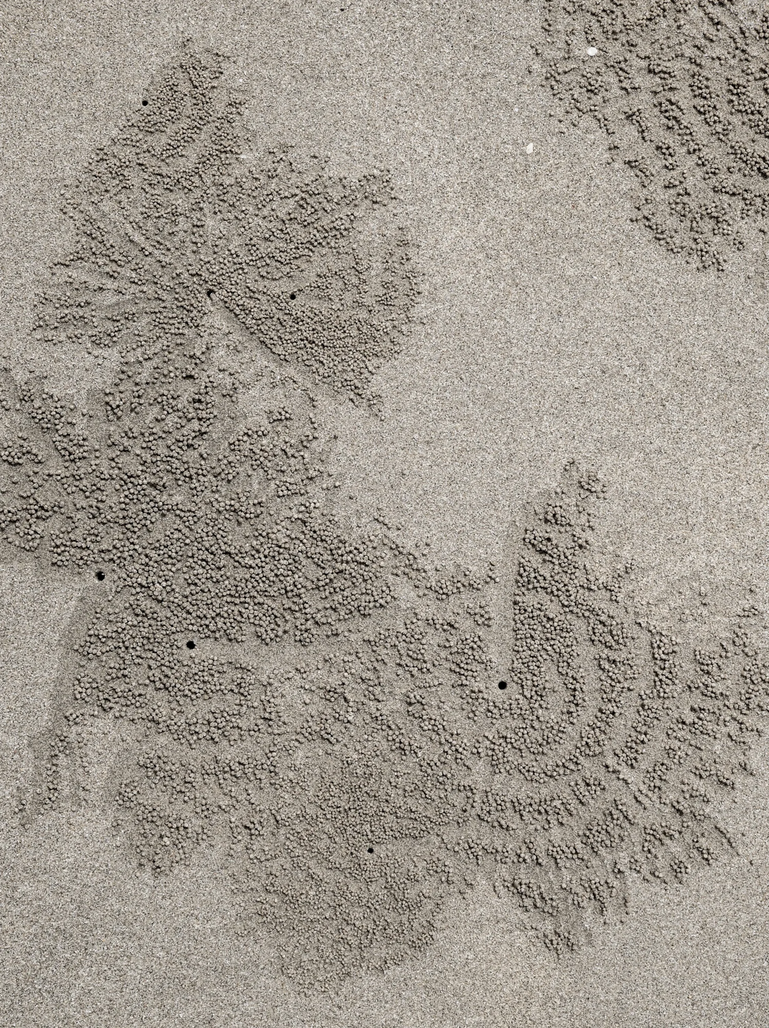 _DSF0701.JPG