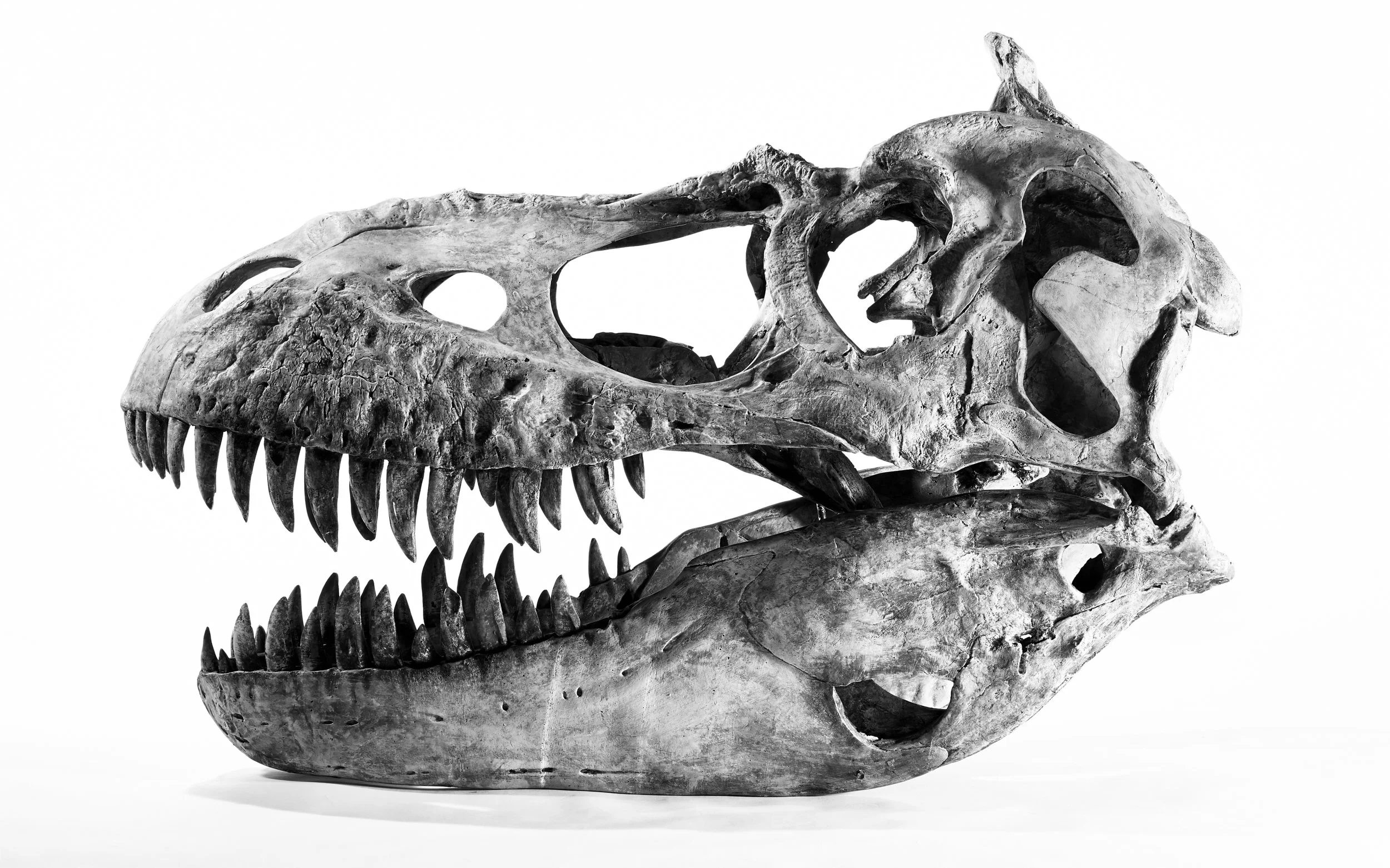 Refractory_SW211018VPL_0151_BookFinal copyLayers copy.jpg