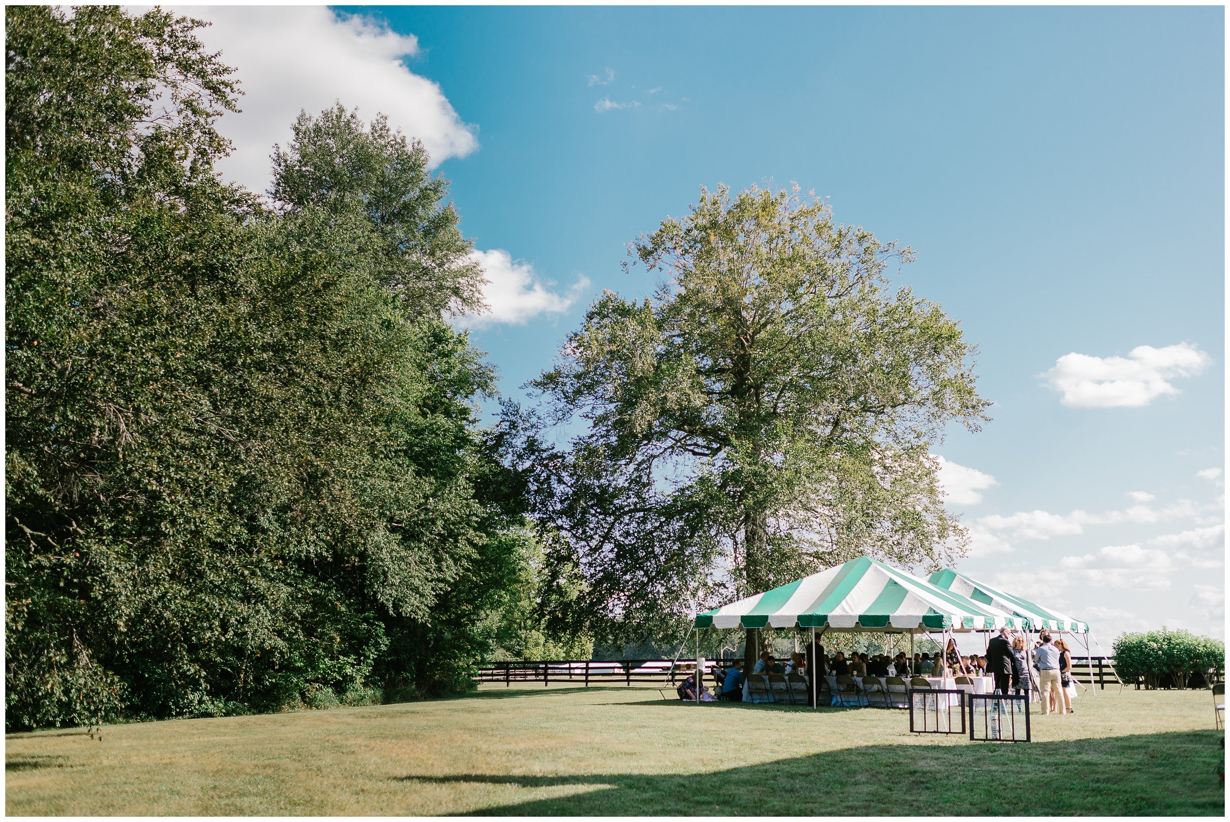 Rebecca_Shehorn_Photography_Indianapolis_Wedding_Photographer_7262.jpg