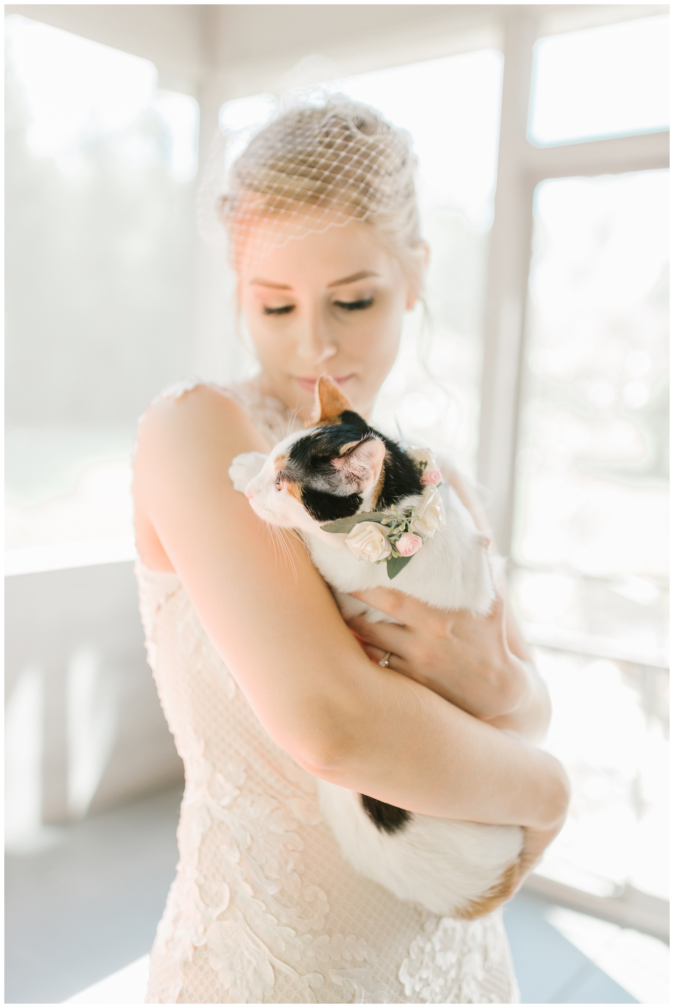 Rebecca_Shehorn_Photography_Indianapolis_Wedding_Photographer_7306.jpg