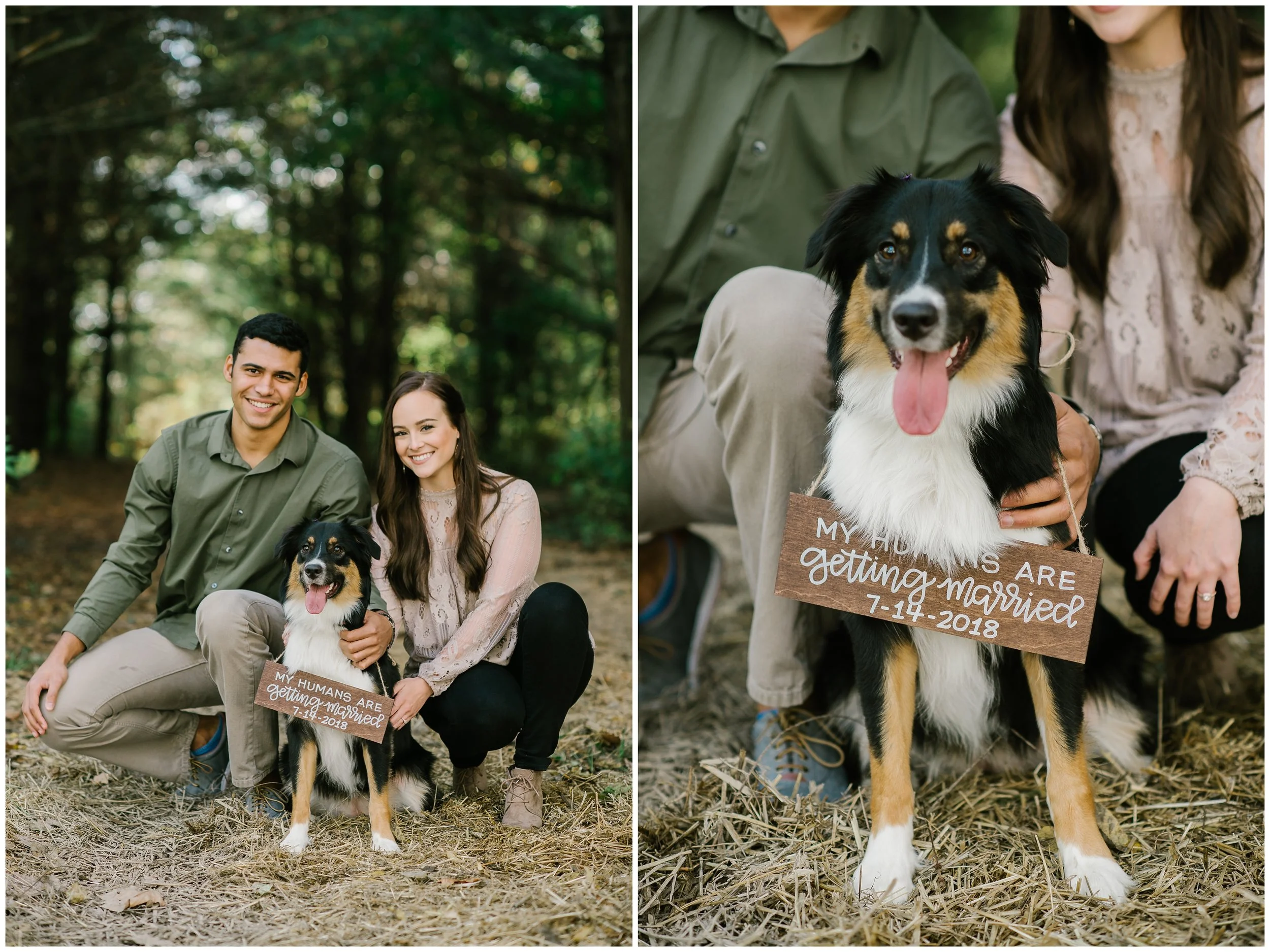 Rebecca_Shehorn_Photography_Indianapolis_Wedding_Photographer_7662.jpg