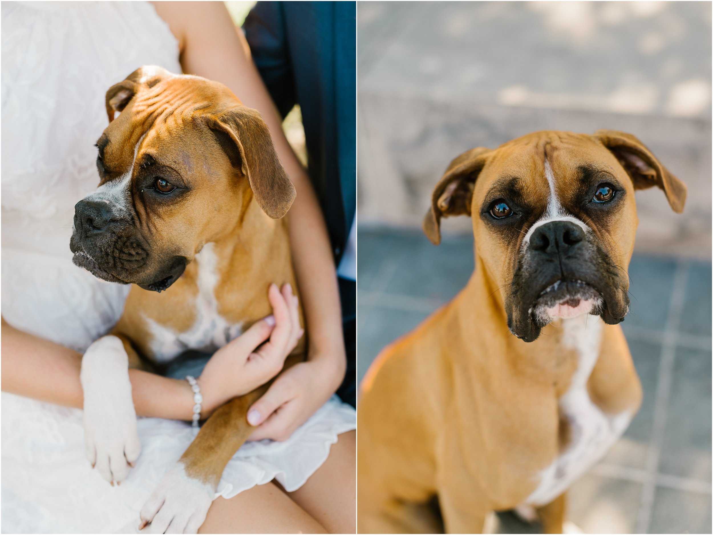 Rebecca Shehorn Photography Indianapolis Wedding Photographer Newfields Engagement Photos_0249.jpg