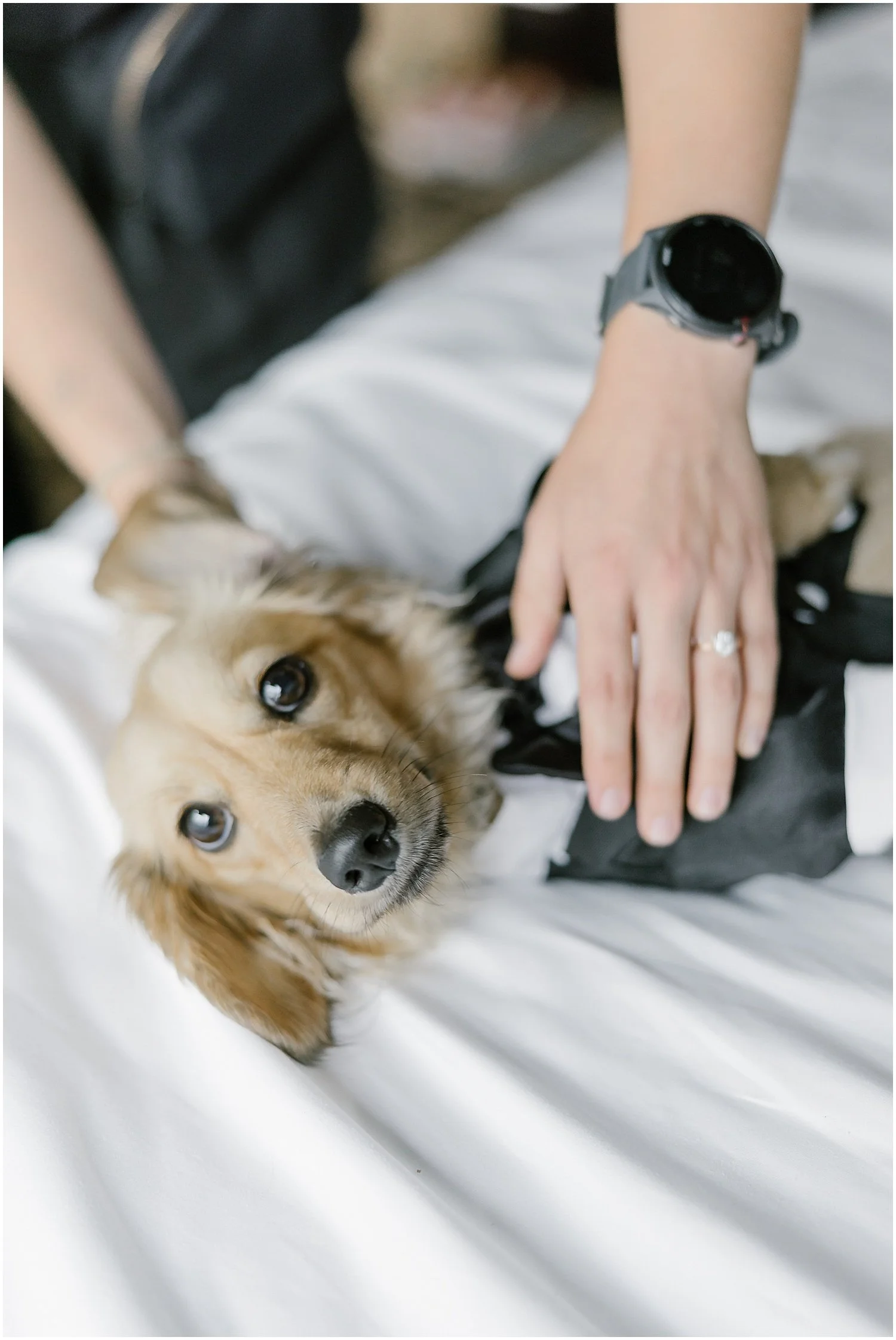 Rebecca Shehorn Photography Tianna and James Bottleworks Wedding-934.jpg