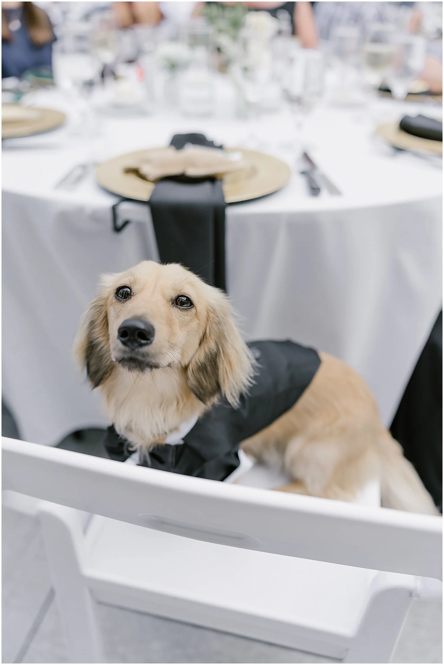 Rebecca Shehorn Photography Tianna and James Bottleworks Wedding-1427.jpg