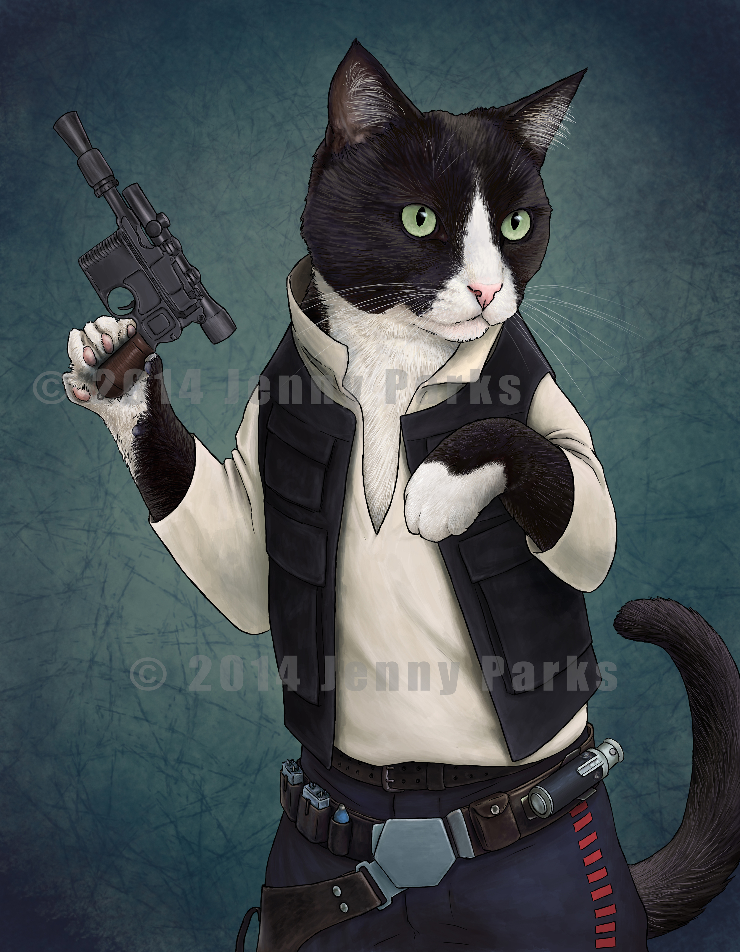 han solo cat shirt