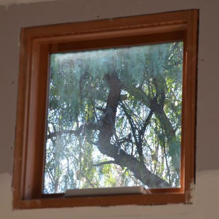 Coleman Architects, McGrath Street, Pleased to see the glimpse window captured the peppercorn tree as planned