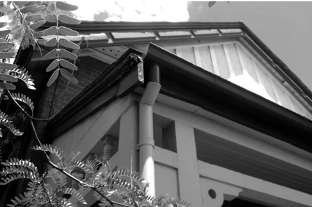 WP_20141217_008- edited for web.jpg